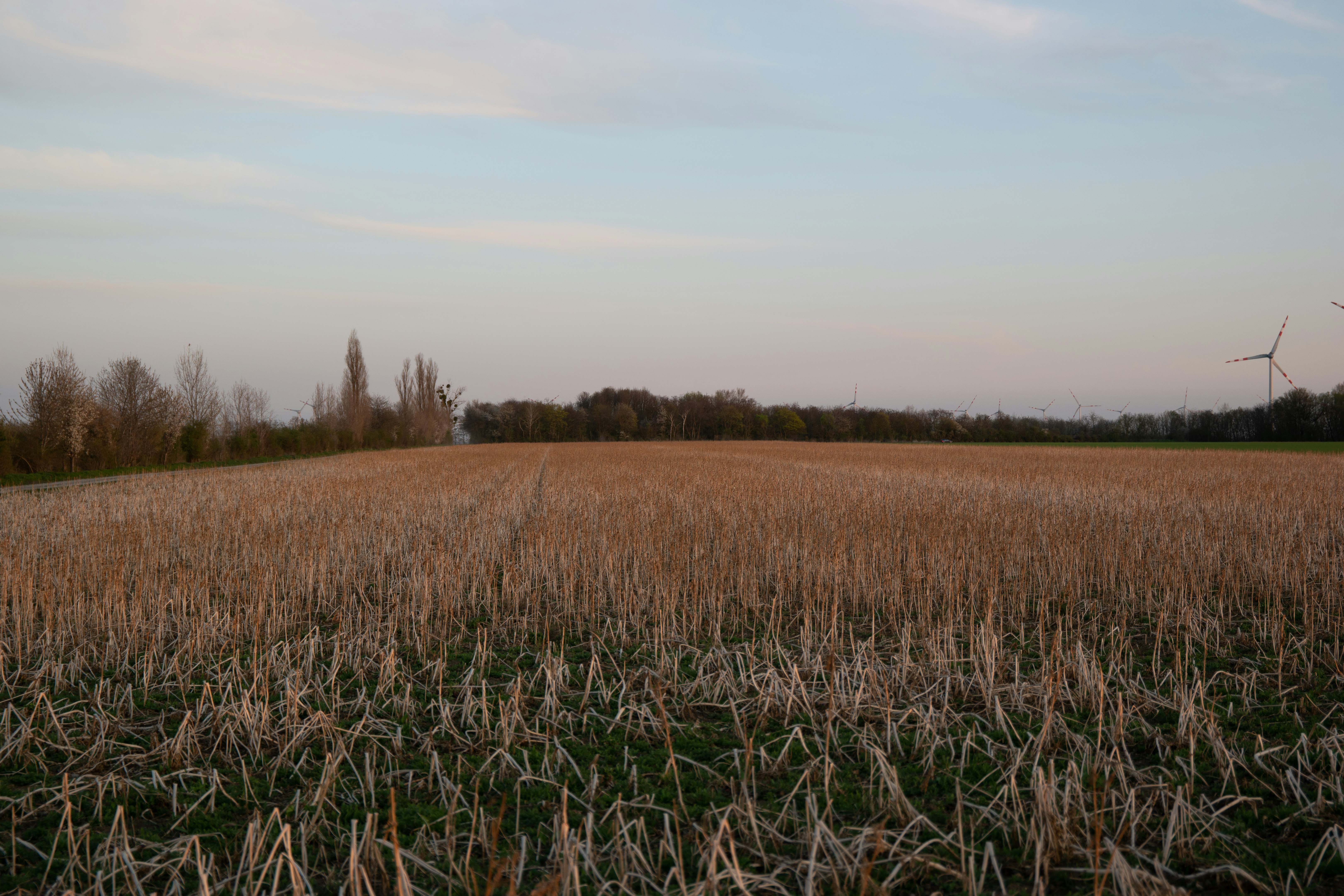 Photo by danielgumprecht