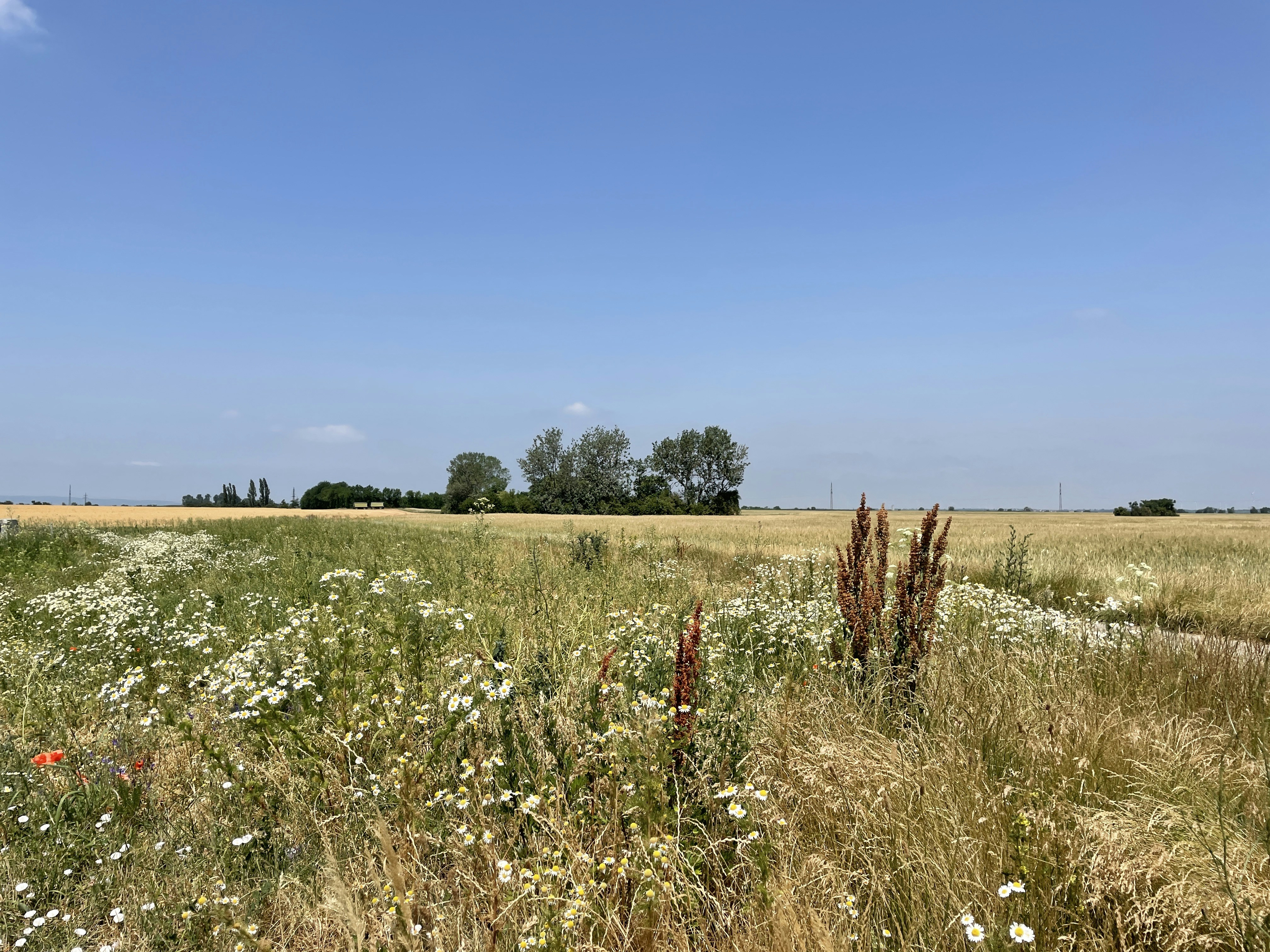 Photo by danielgumprecht