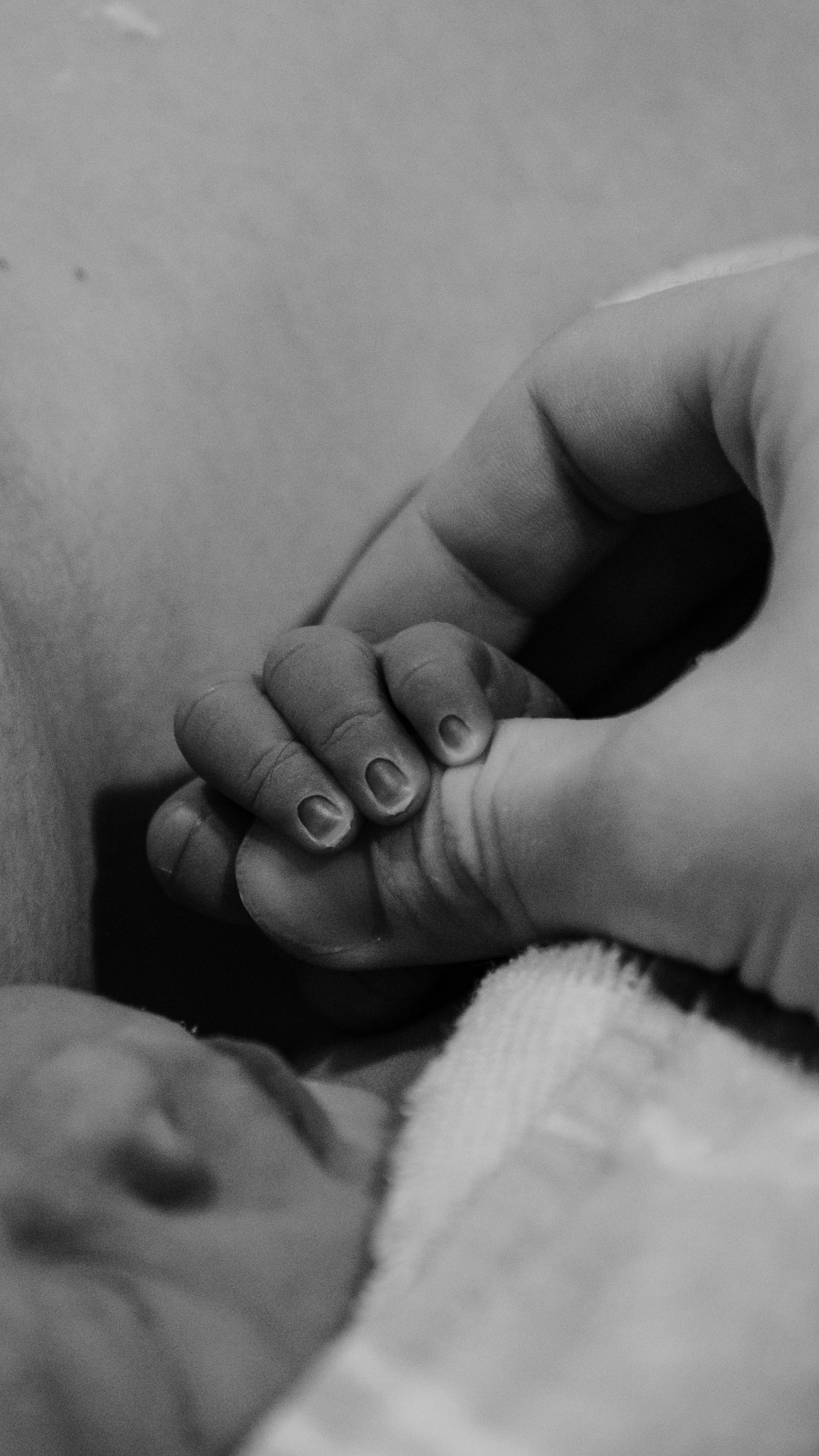 Tender moment of parent holding baby's hand