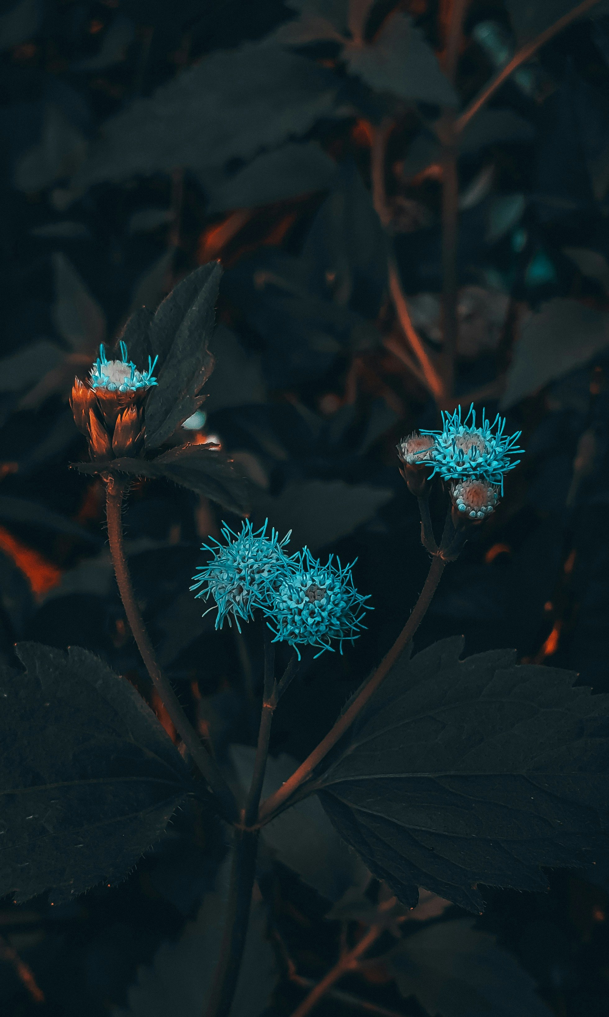 Photo by elogleking