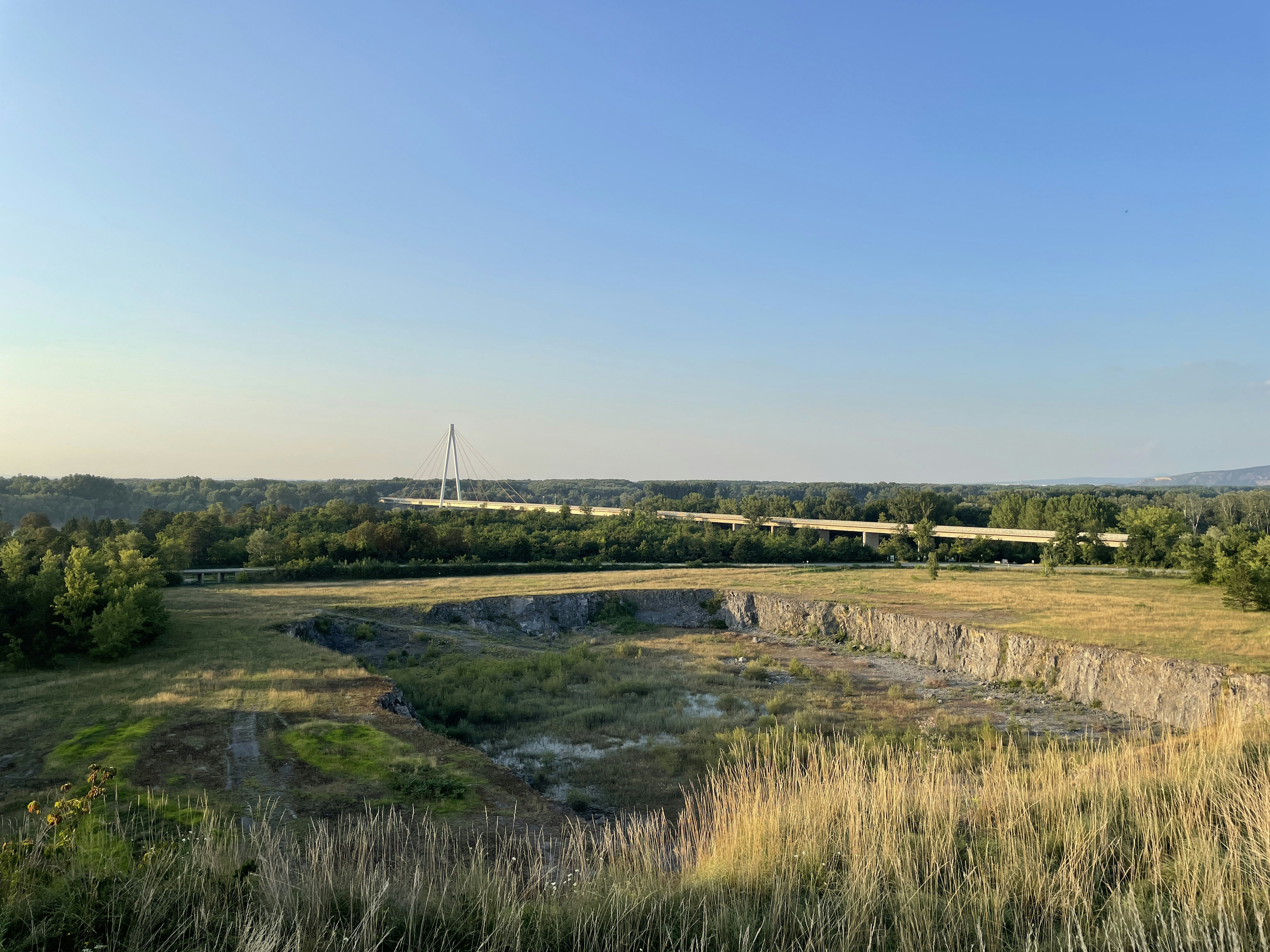 ein kleiner Teich auf einem Feld