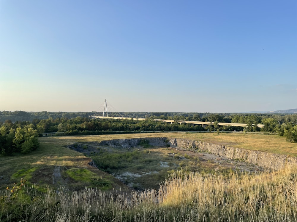 a small pond in a field