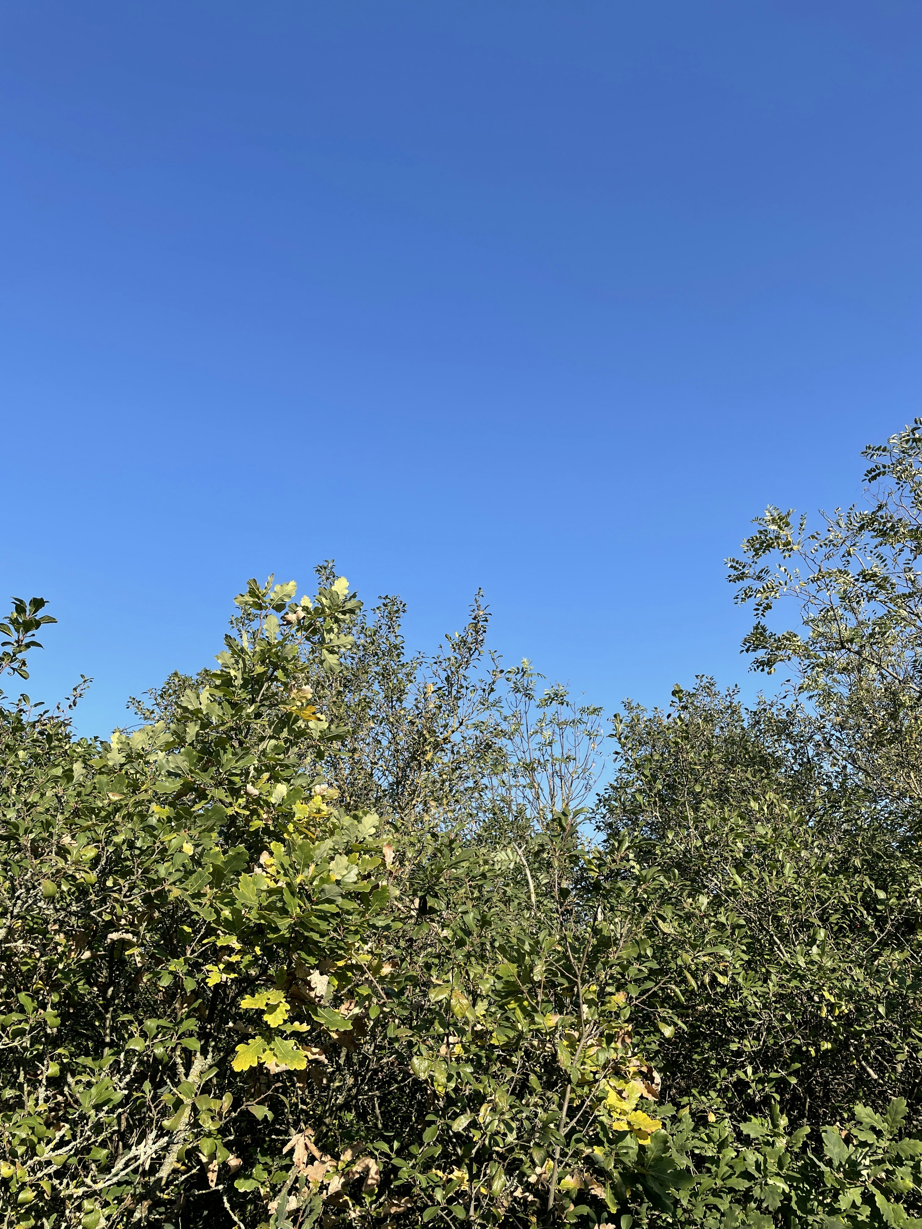 Photo by danielgumprecht