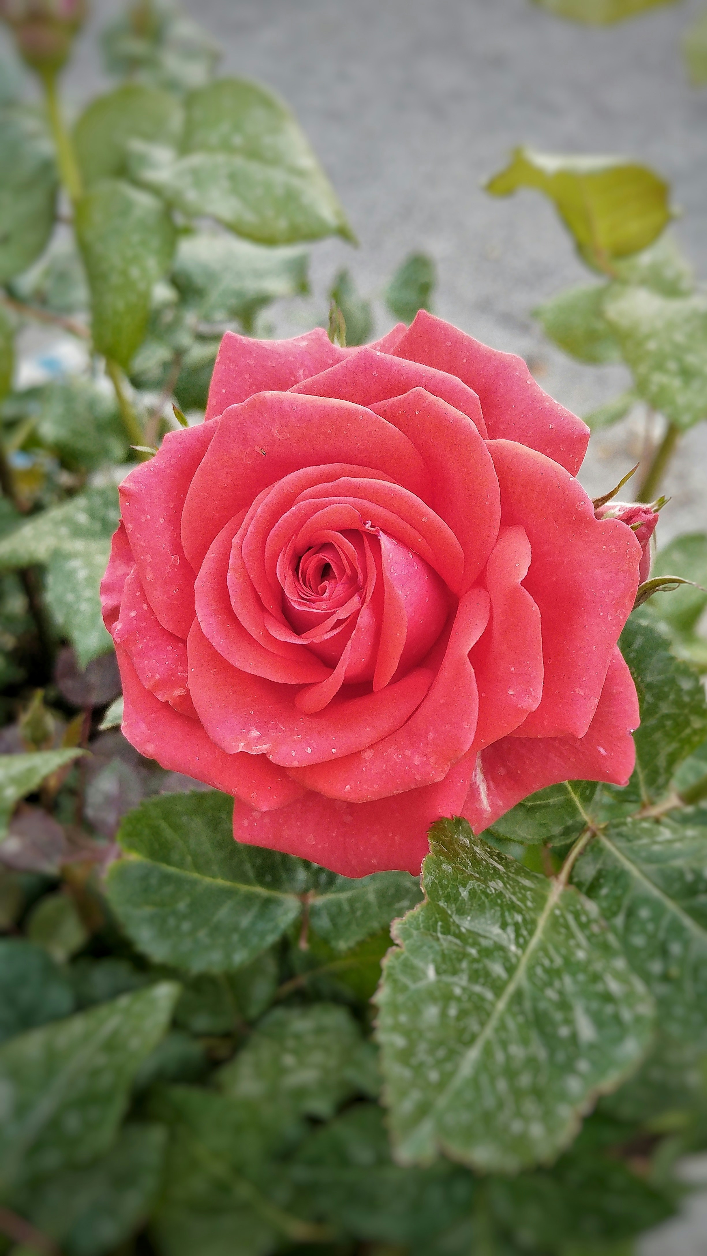 Photo by vahid_mehri