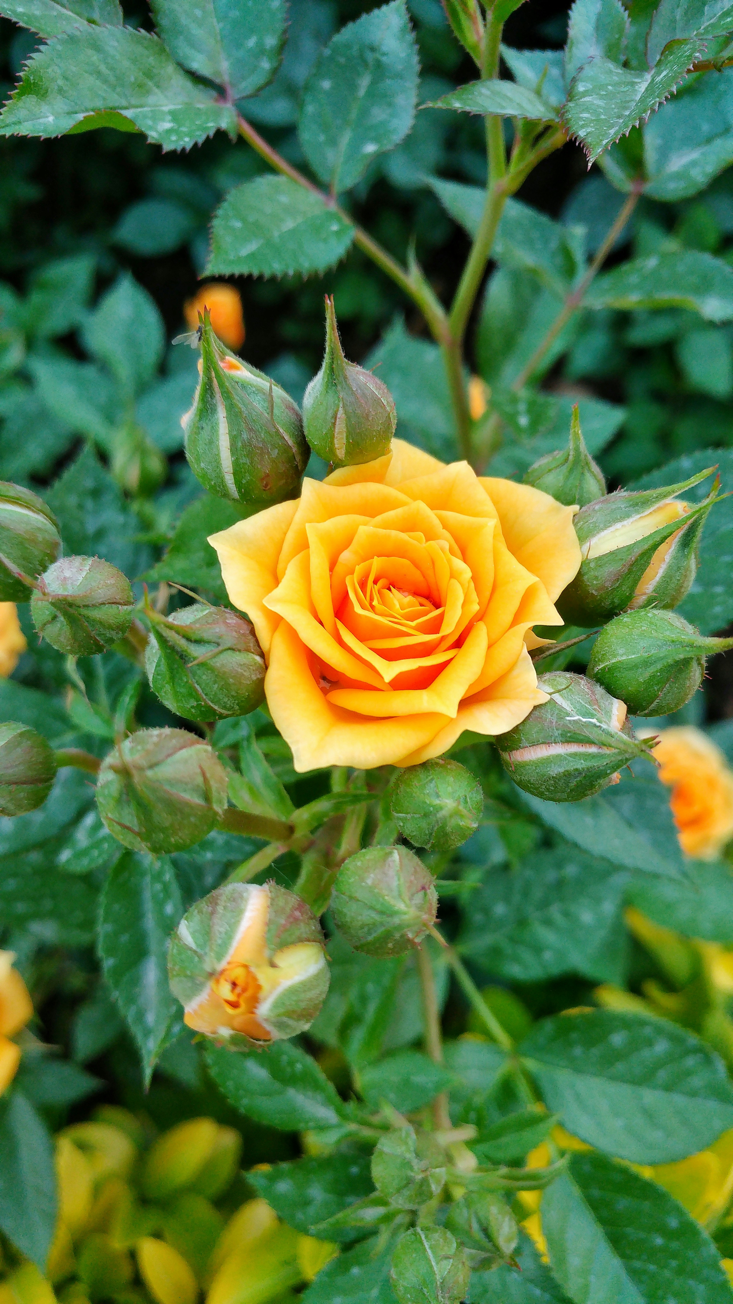 Photo by vahid_mehri