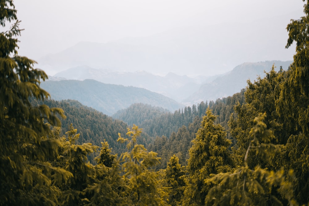 a view of a mountain range