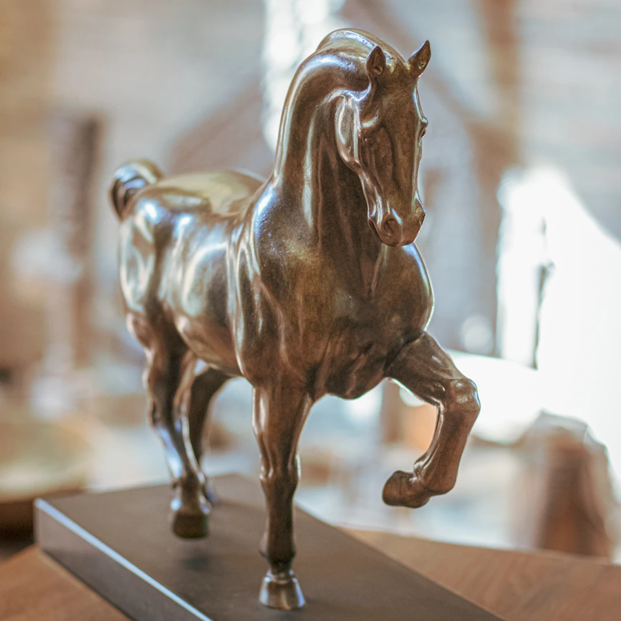 Equus