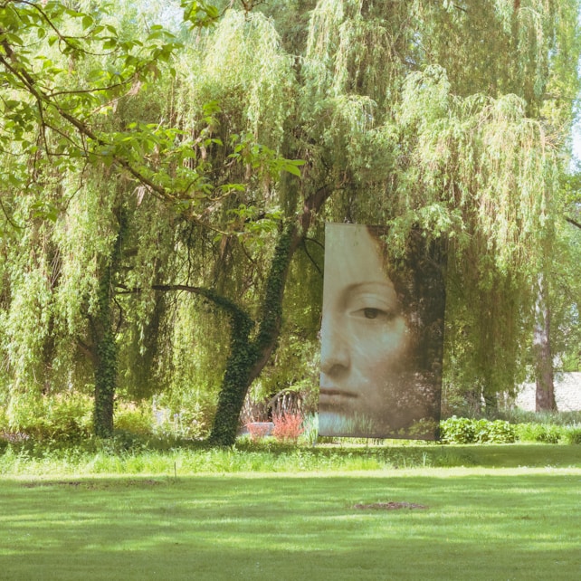 A serene park setting with lush green grass and large trees, among which a large artistic panel featuring part of a classical portrait is installed, blending into the natural environment.