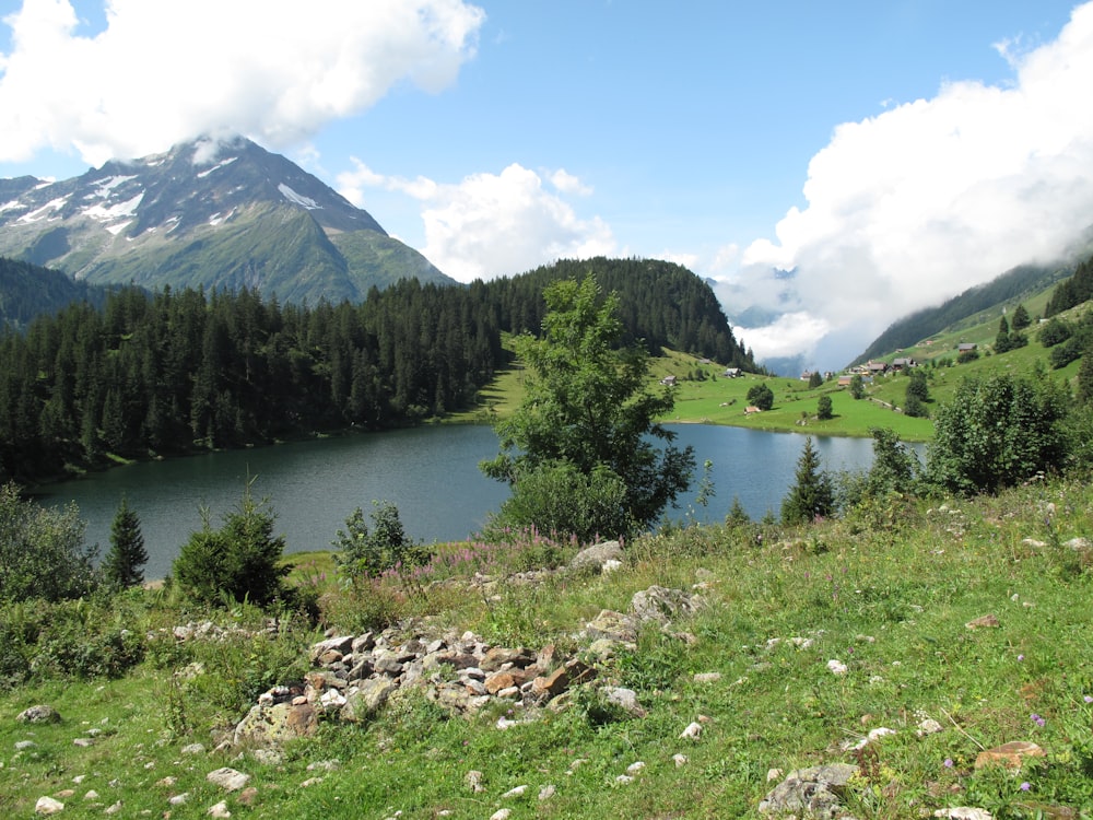 a lake surrounded by mountains and trees