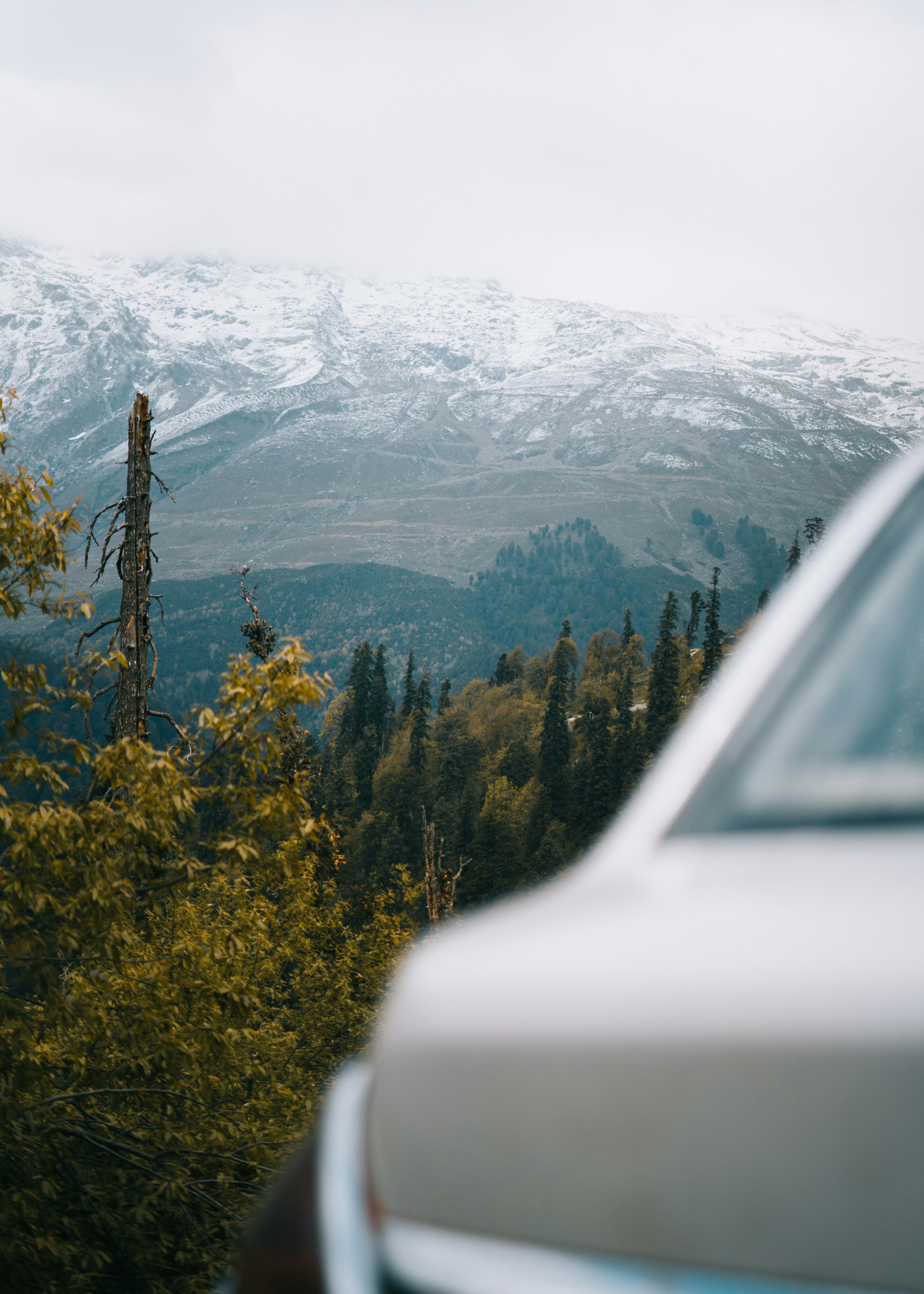 Photo by sharadmbhat