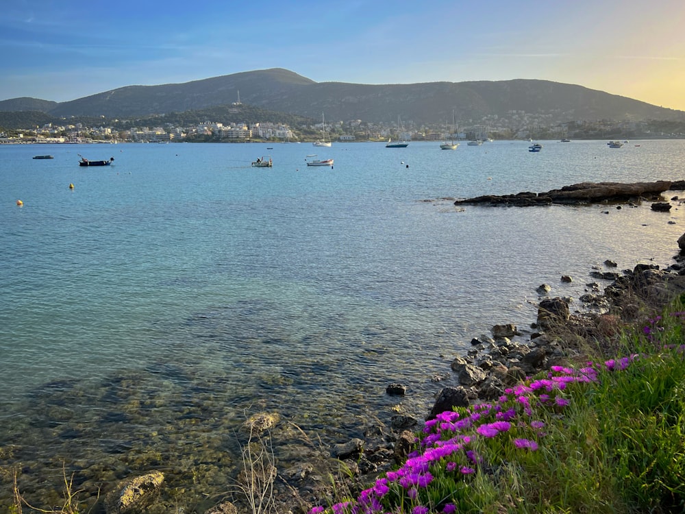 a body of water with boats in it and mountains in the background