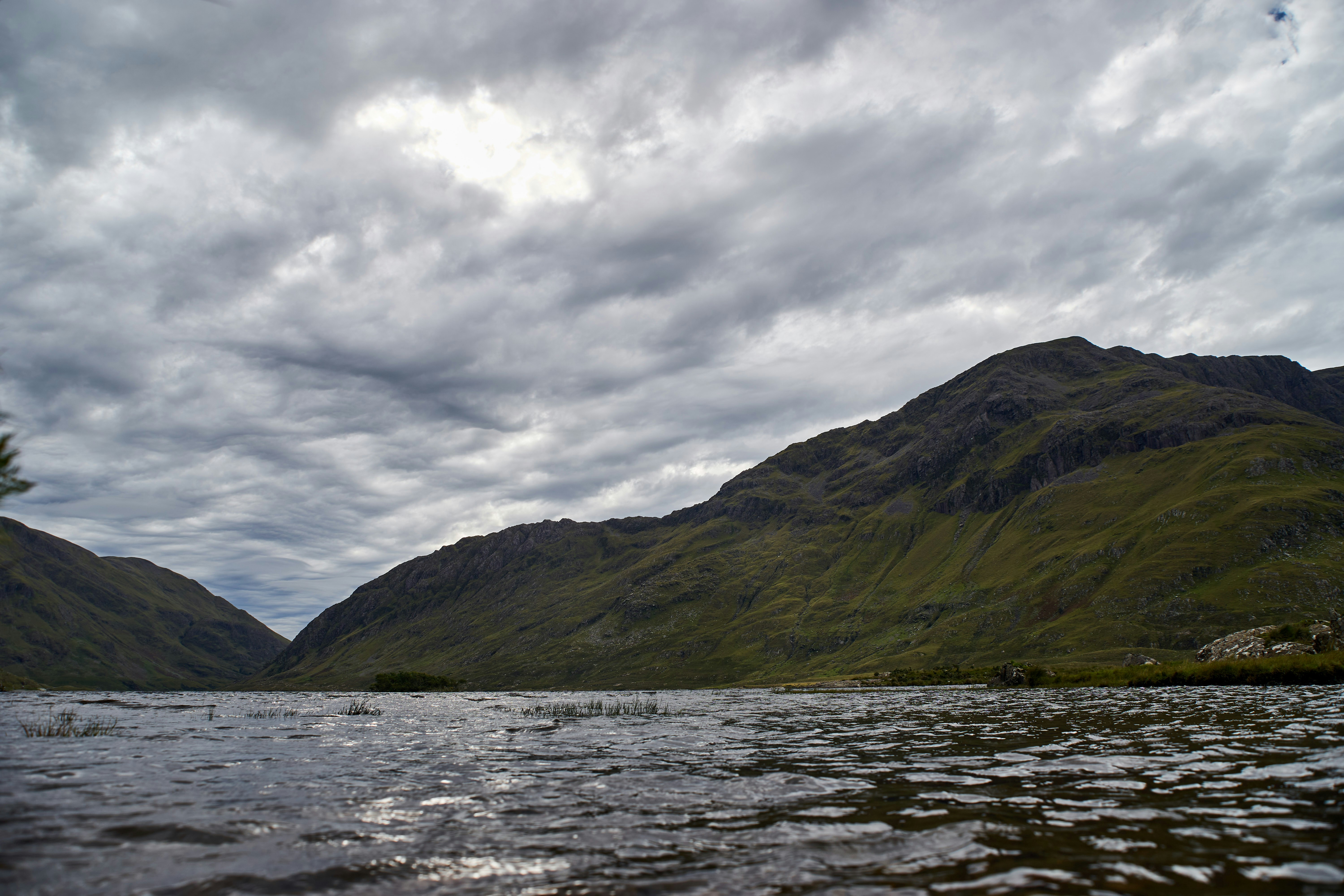 Photo by wolfgang_hasselmann