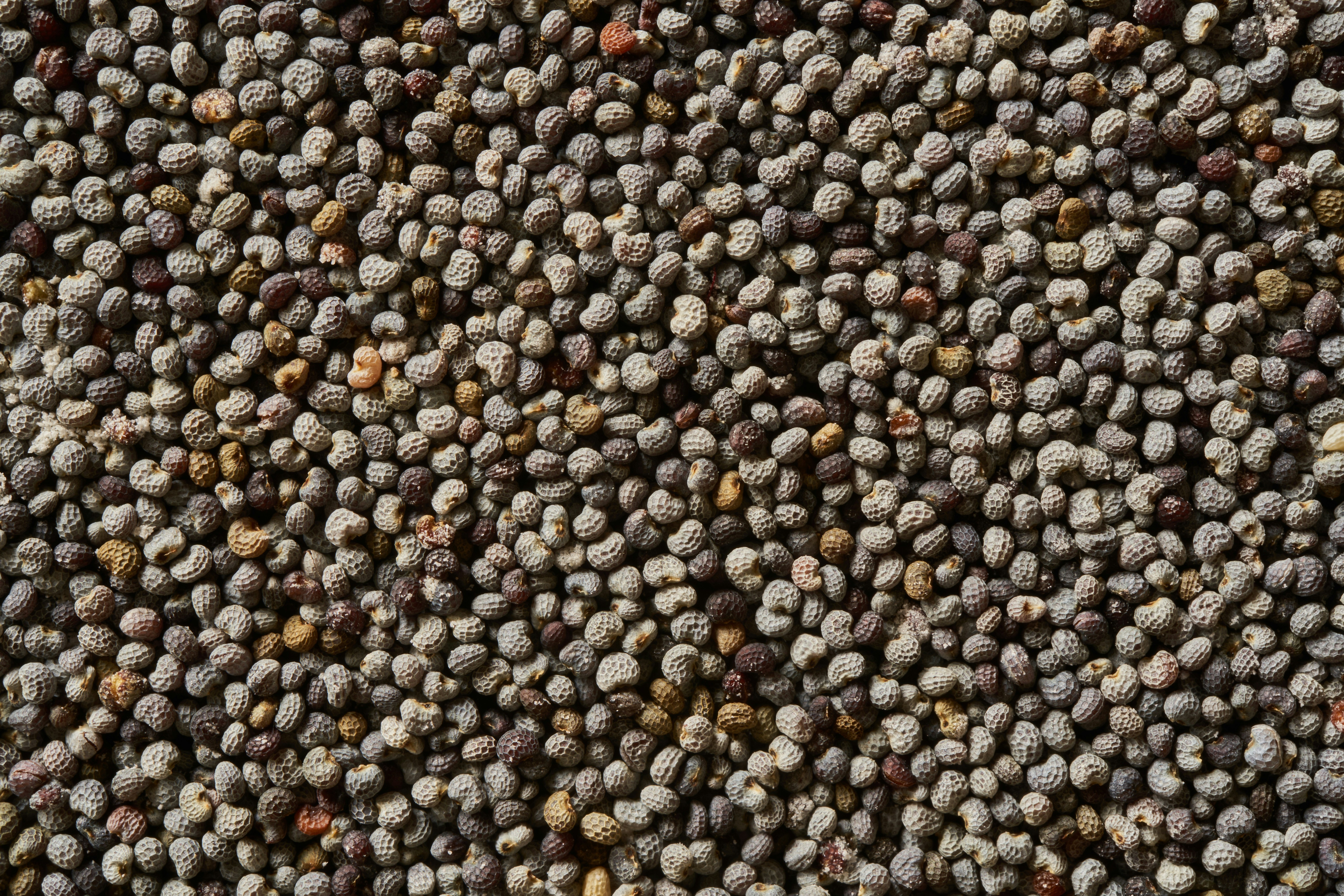 Photo by wolfgang_hasselmann