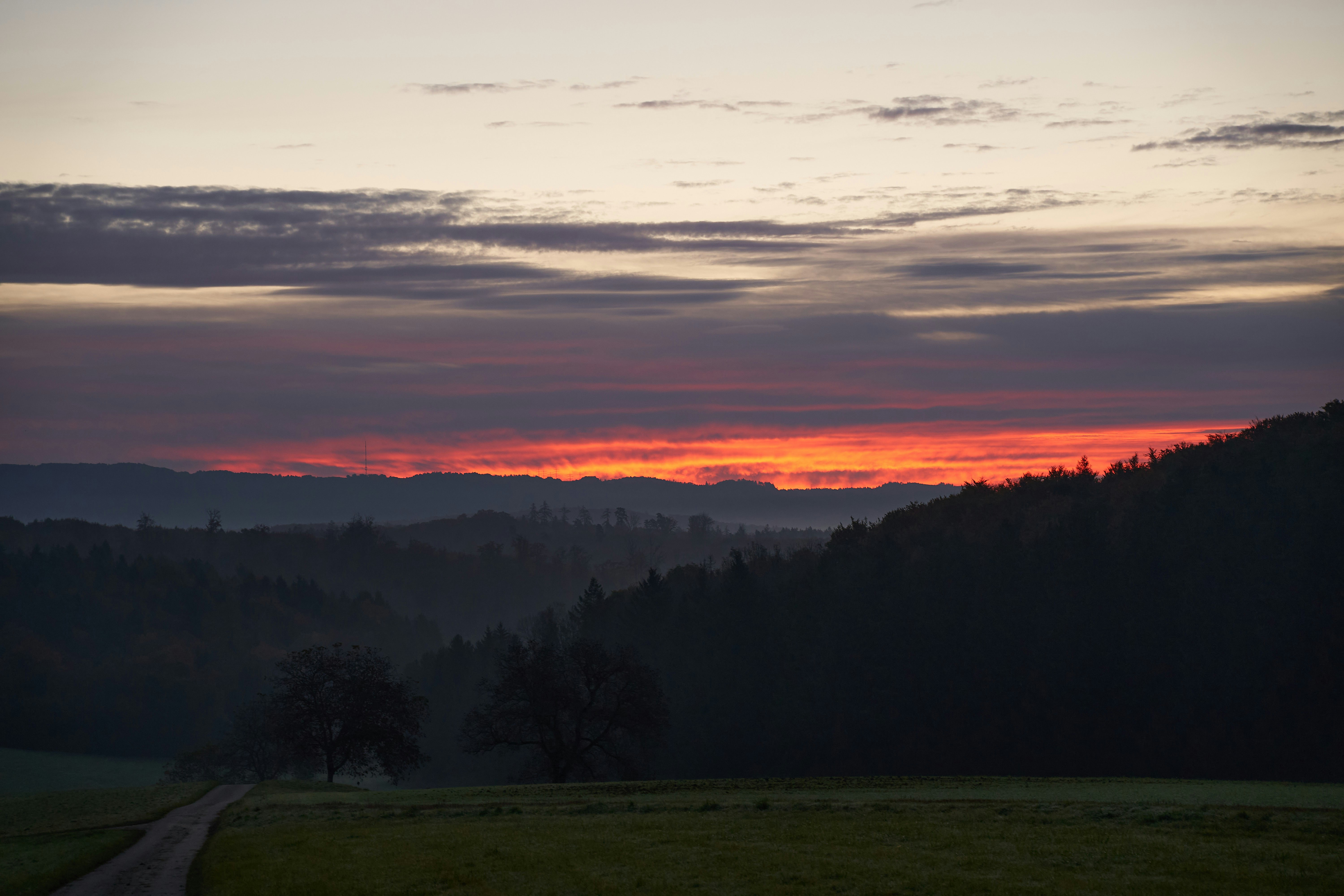 Photo by wolfgang_hasselmann