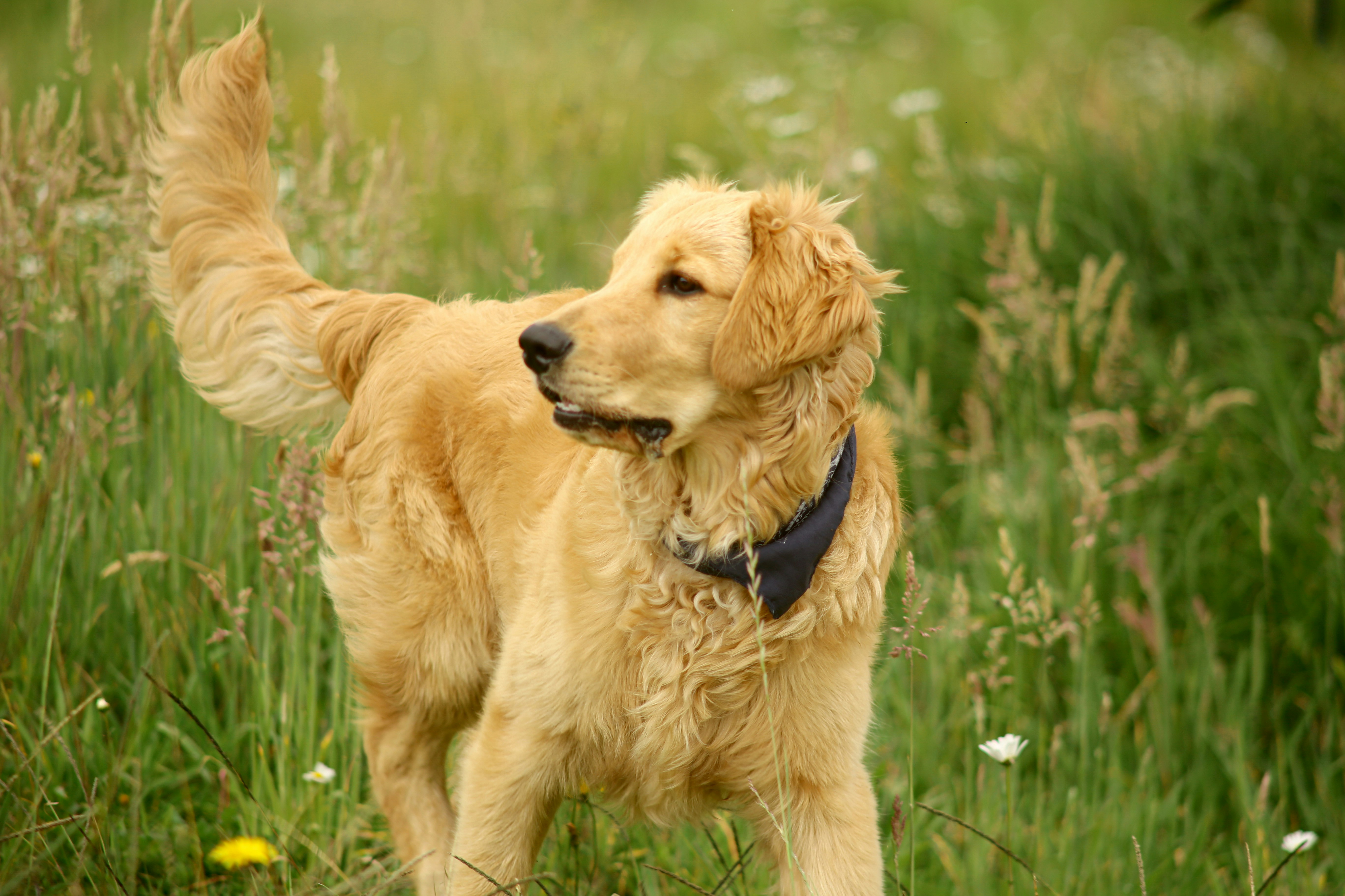 Photo by faberleonardo