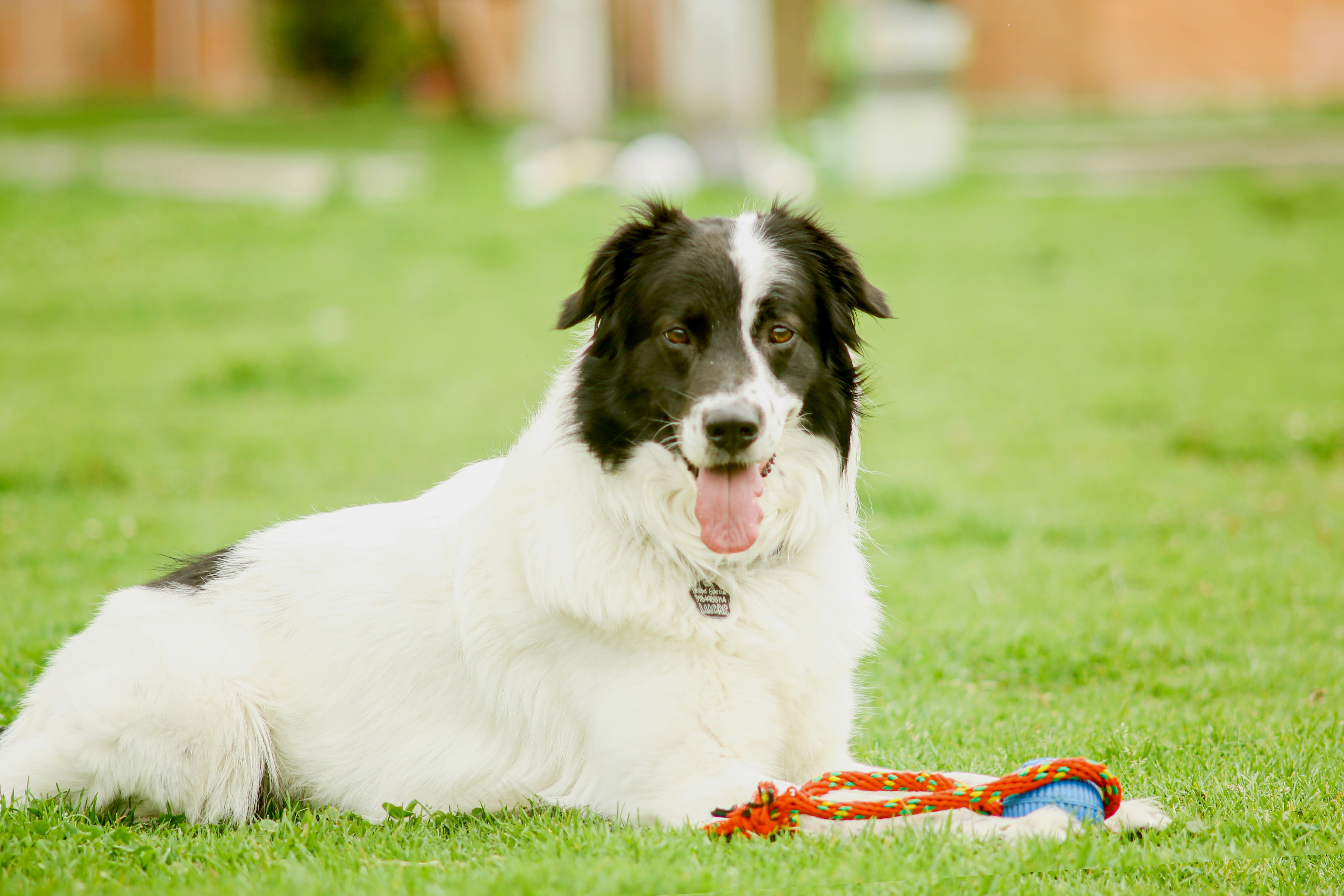 Photo by faberleonardo