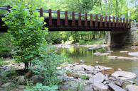 A peaceful outdoor scene with a bridge symbolizing connection and support.