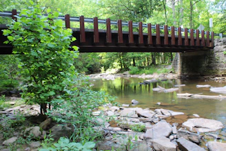 A peaceful outdoor scene with a bridge symbolizing connection and support.