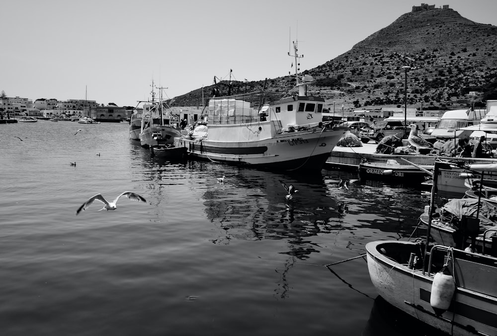 boats in the water