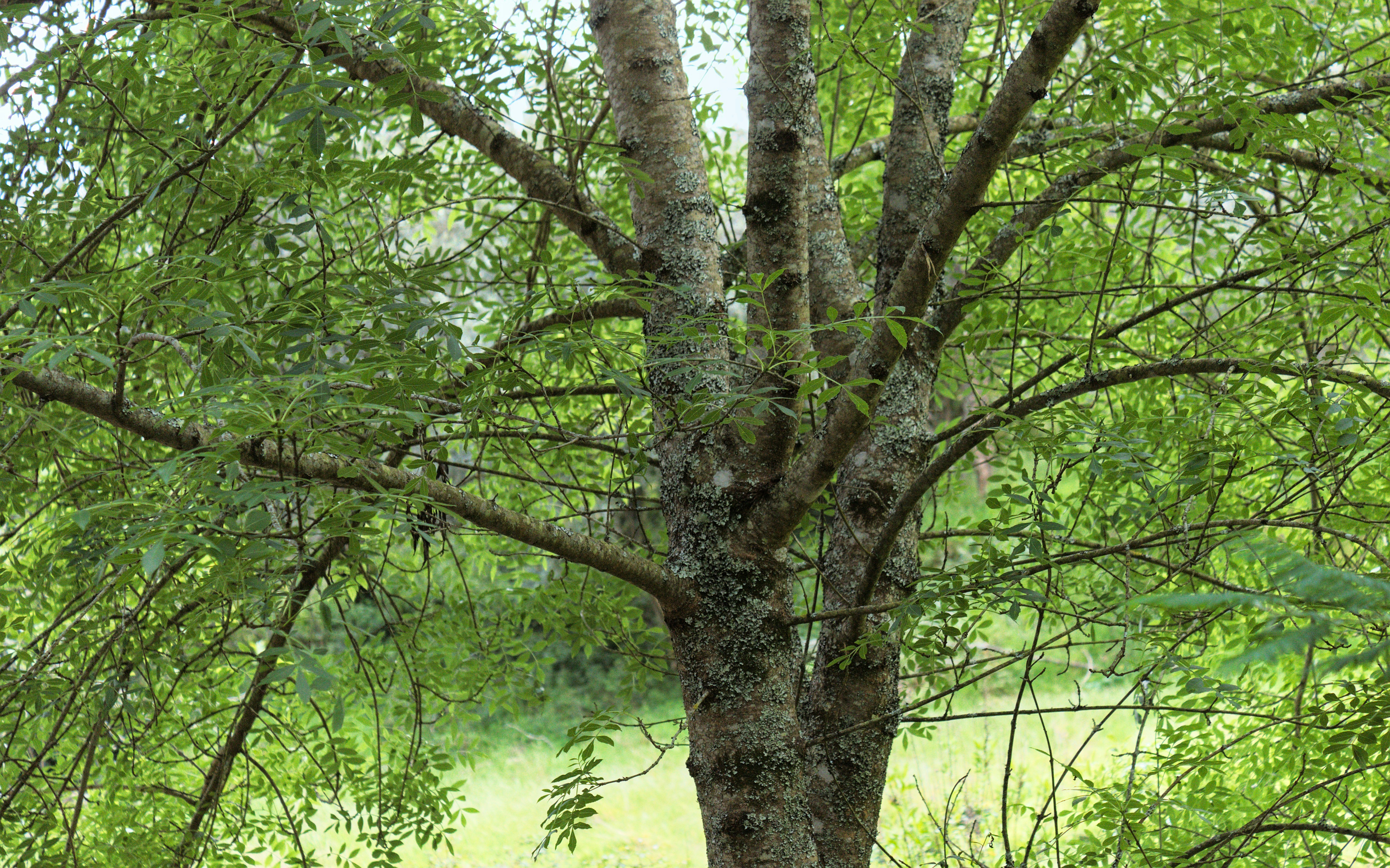 Photo by brunomiguel