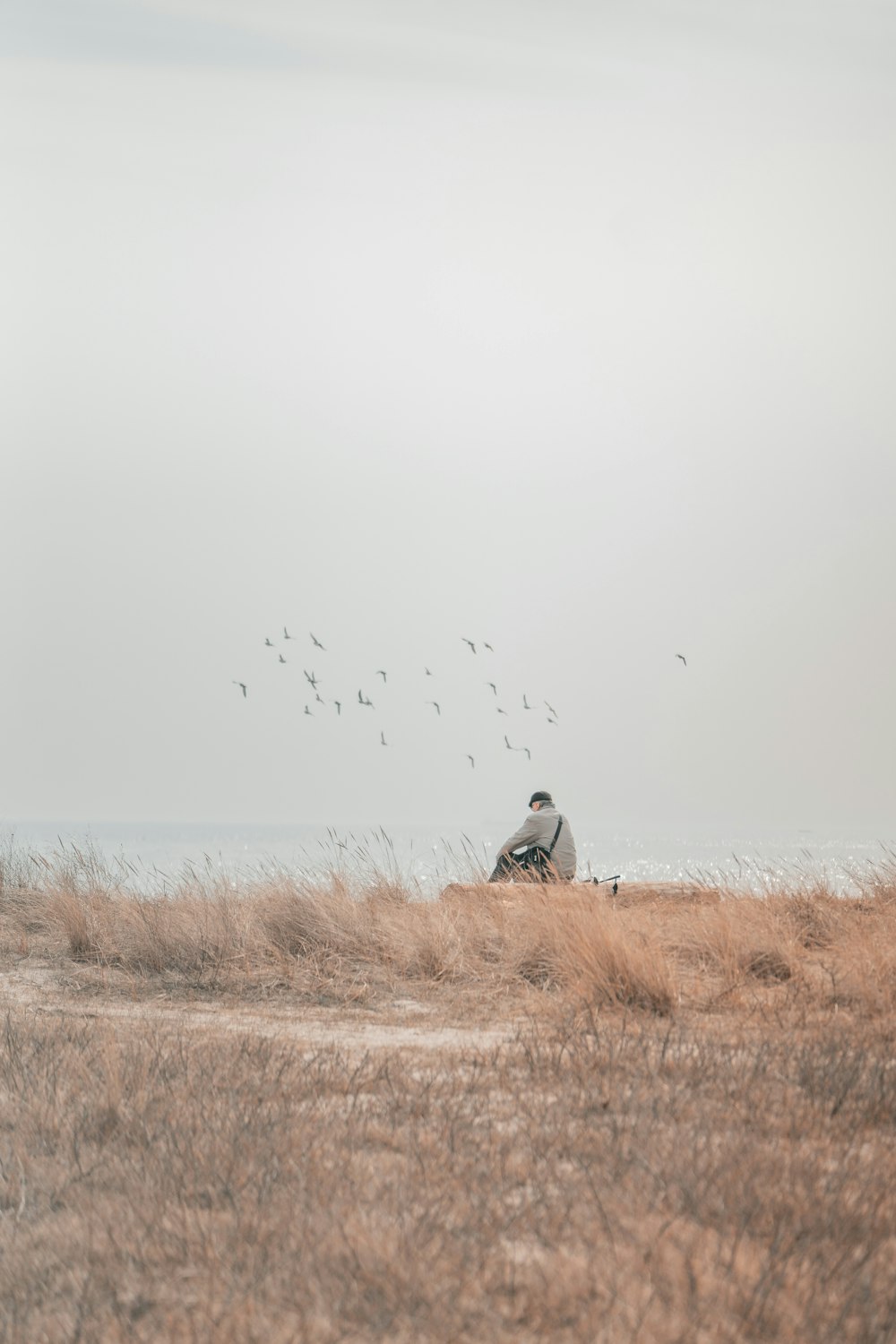 a person sitting in a field with birds flying around