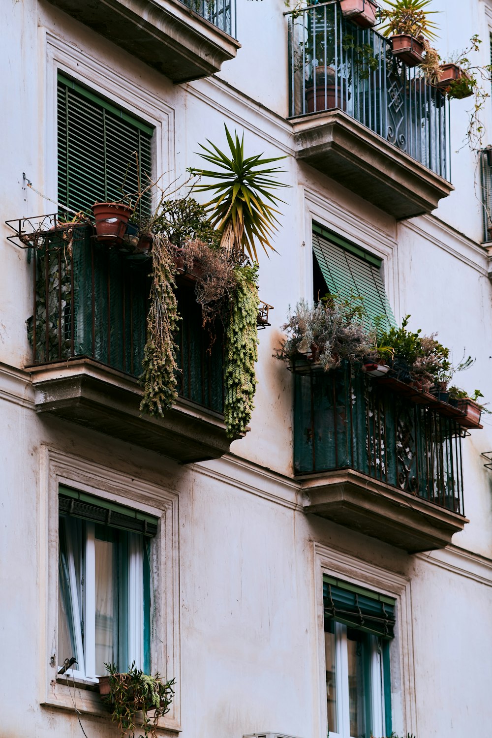 a building with plants growing on the windows