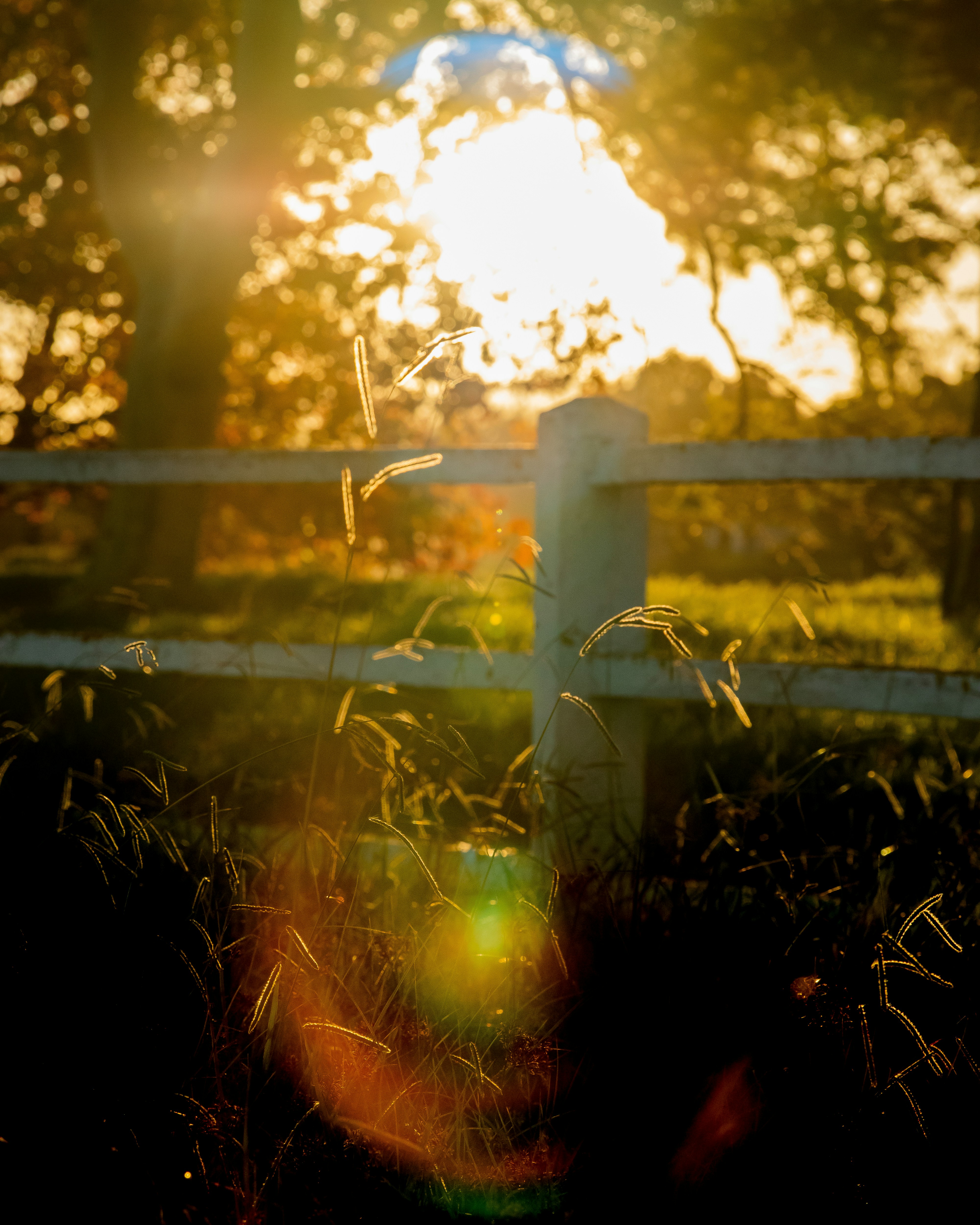 Photo by luwadlinbosman