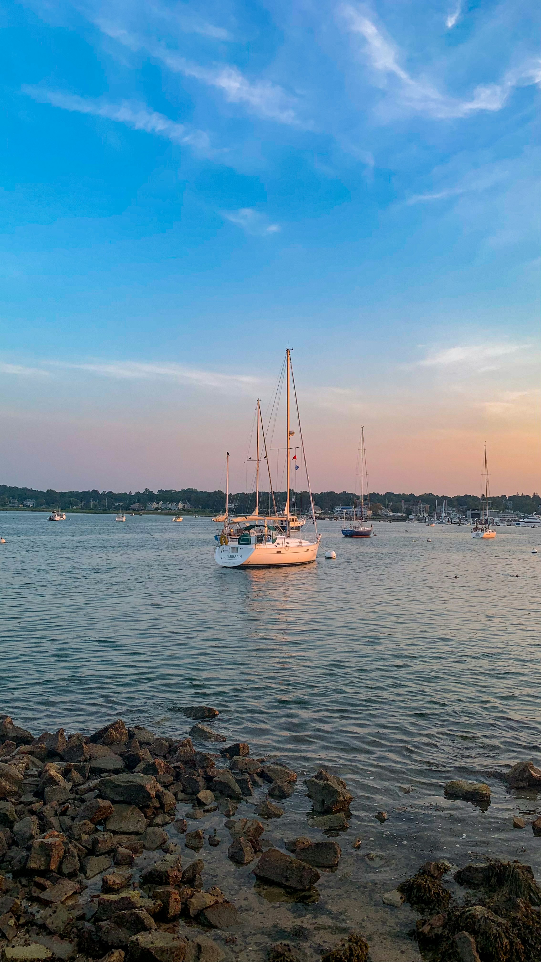 a group of boats in a harbor
