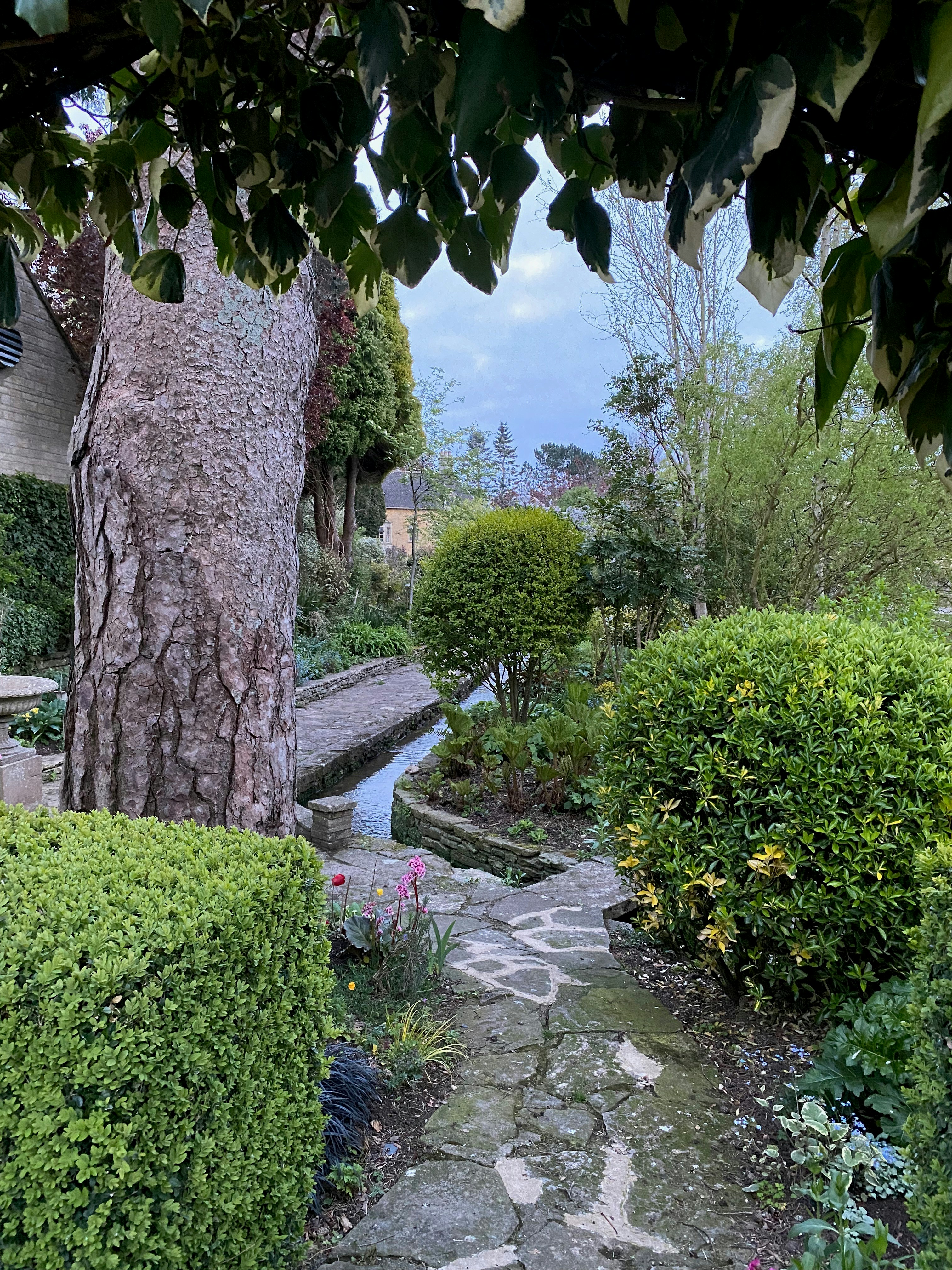 茂みや木々のある小道