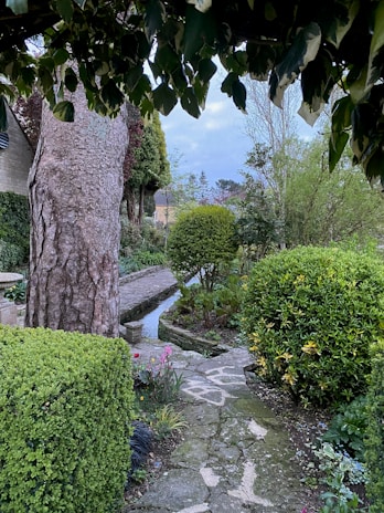 A tranquil backyard featuring a stone pathway winding through colorful perennial gardens.