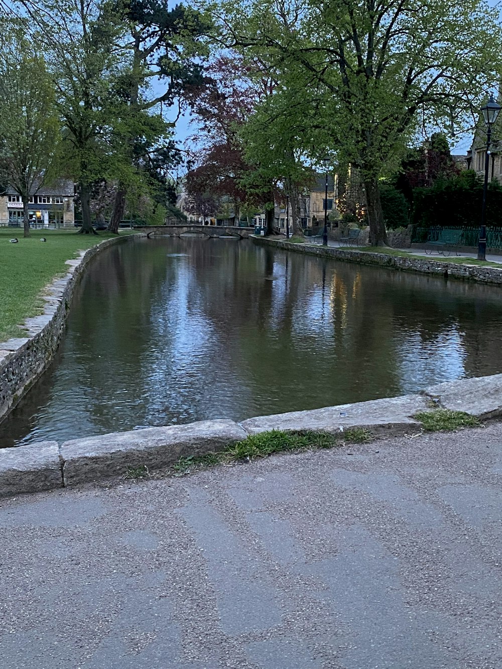 a body of water with trees around it