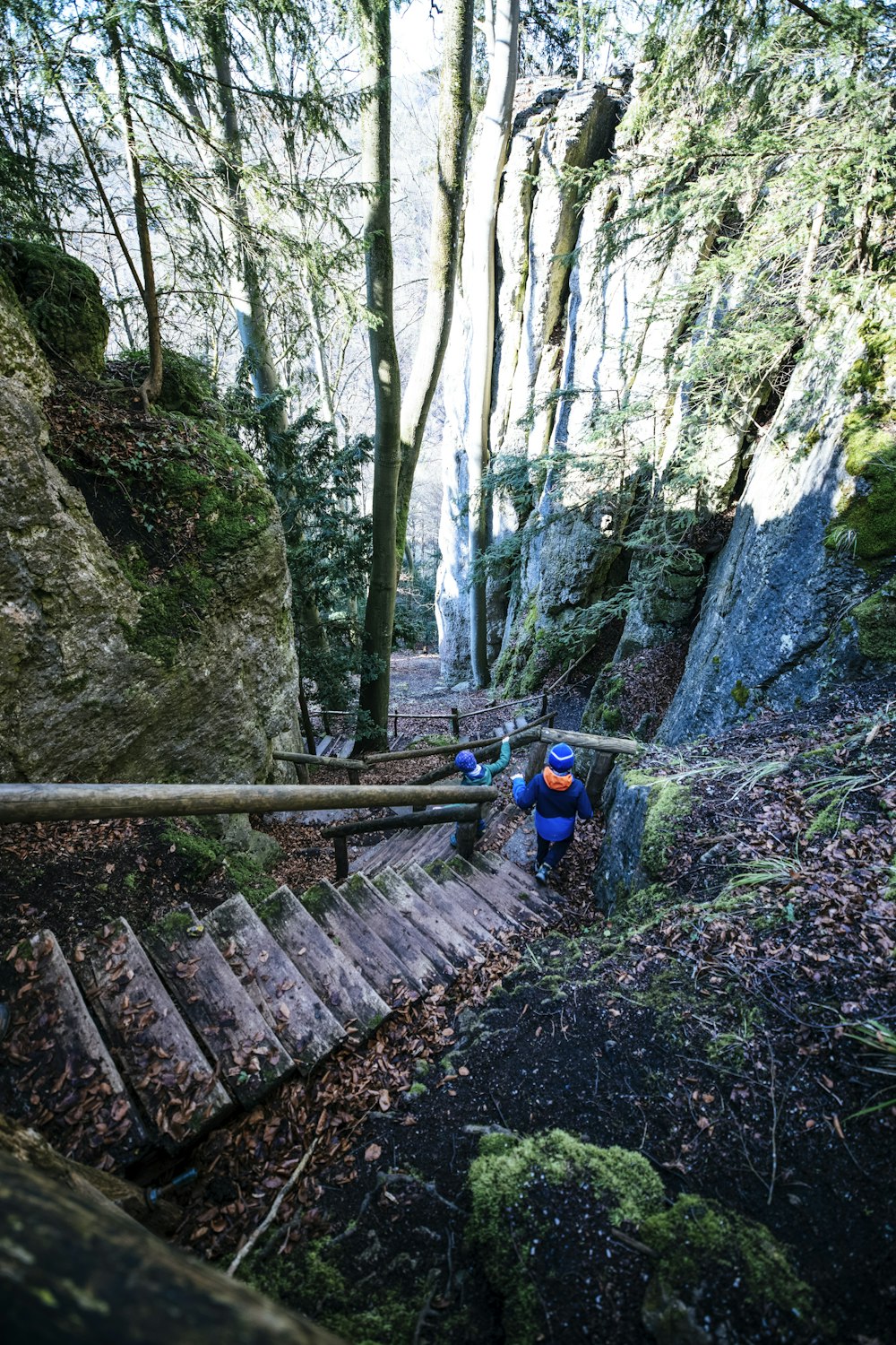 a group of people walking on a bridge in the woods