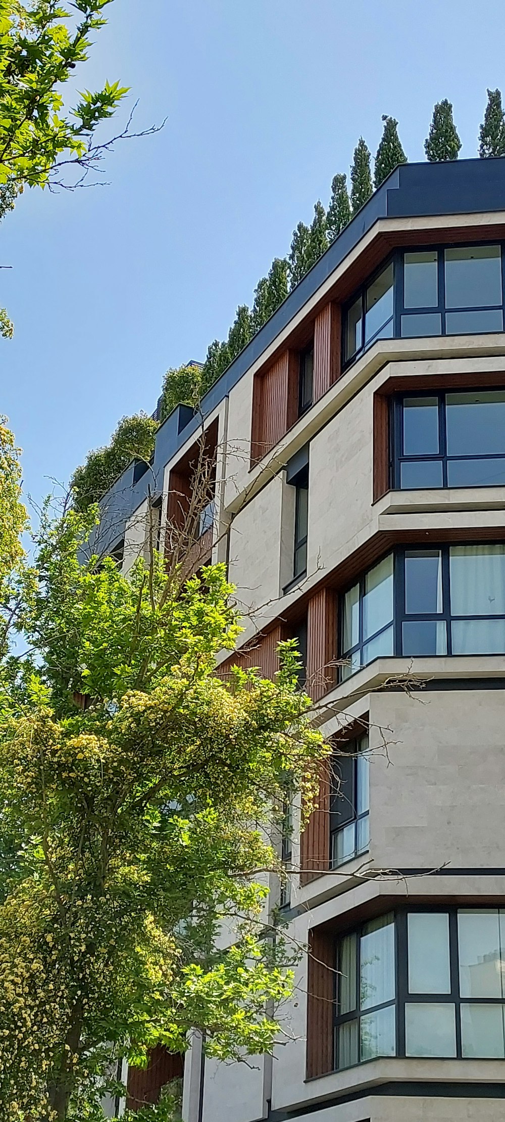 a building with a tree in front of it