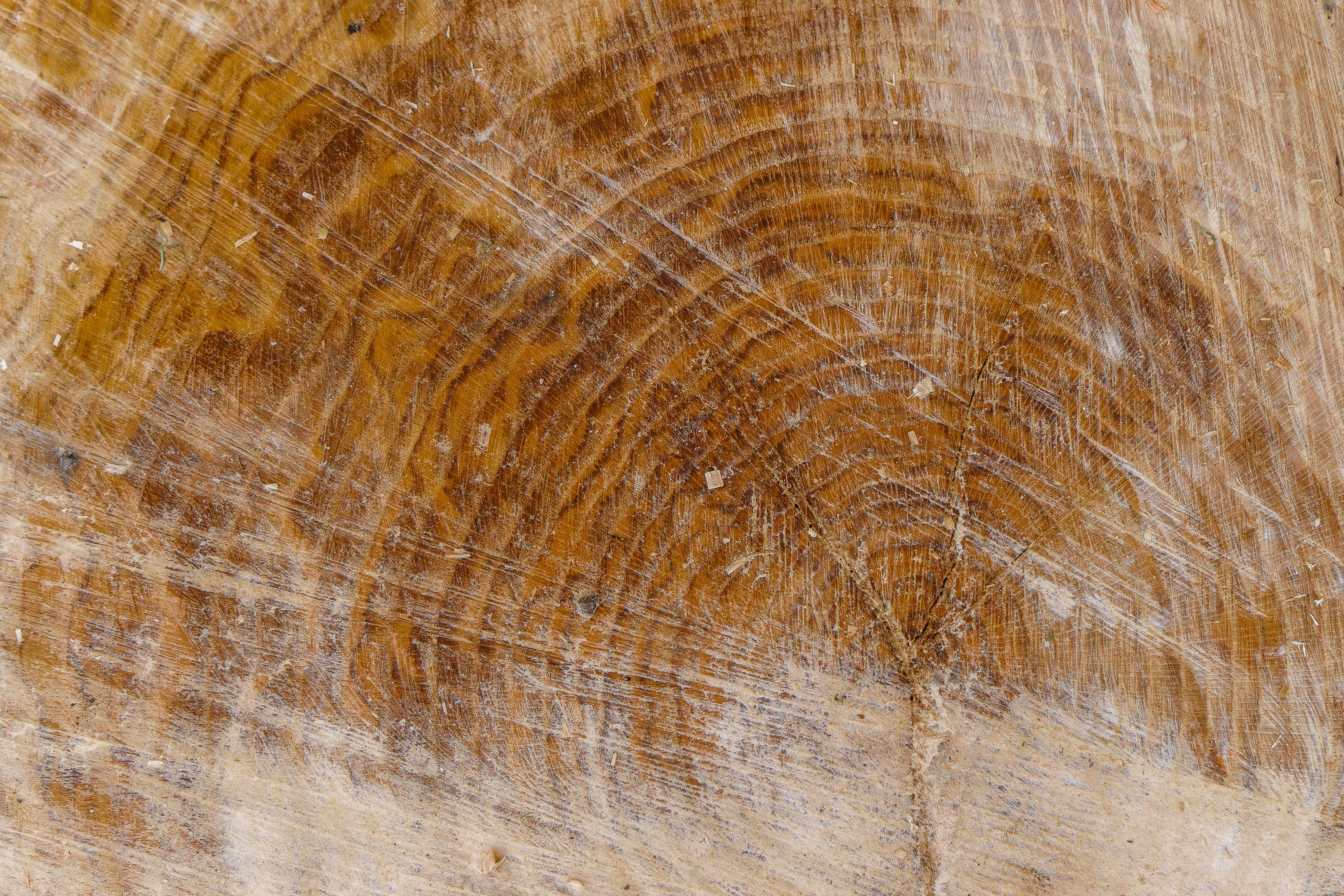 Photo by clayleconey