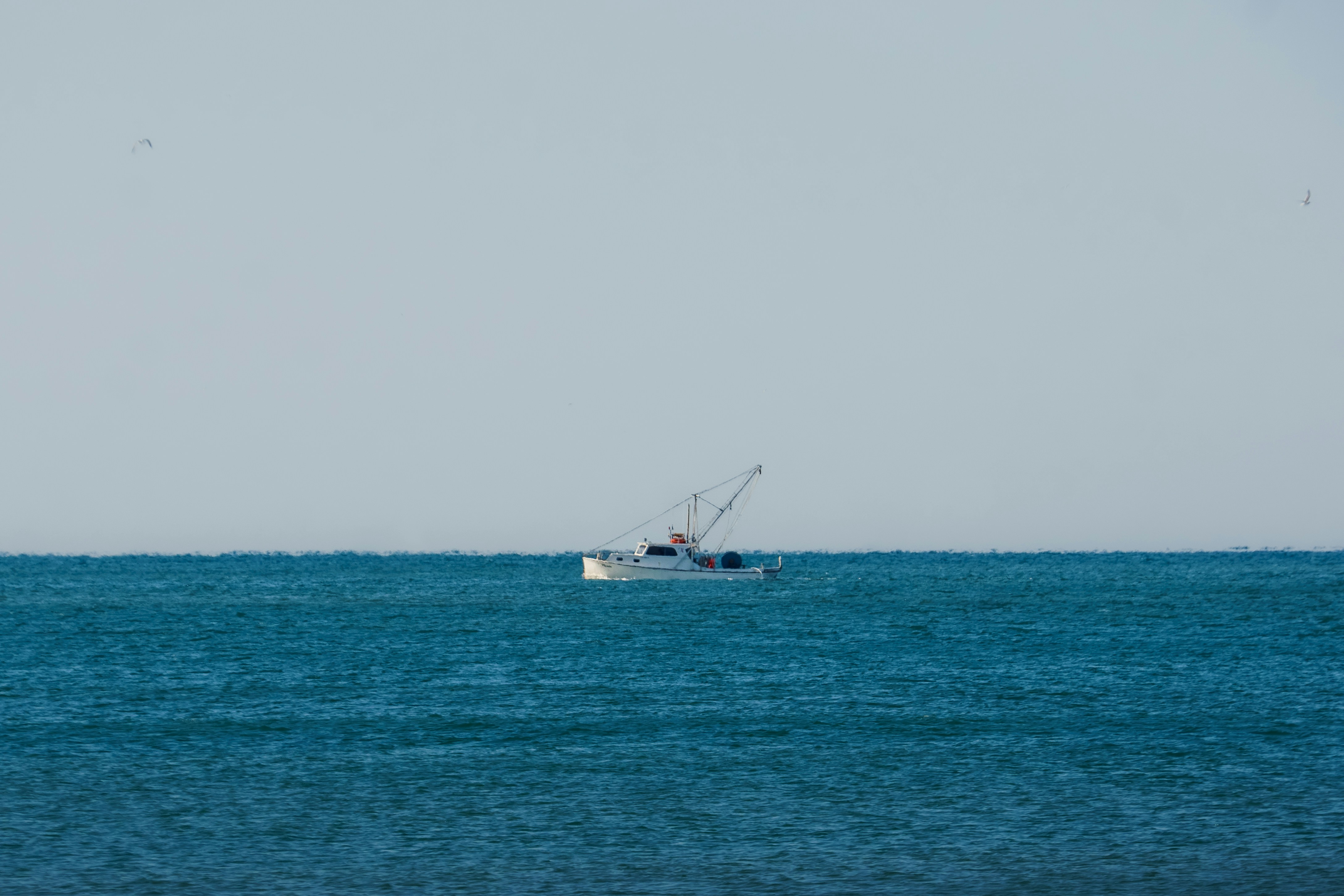 Photo by clayleconey