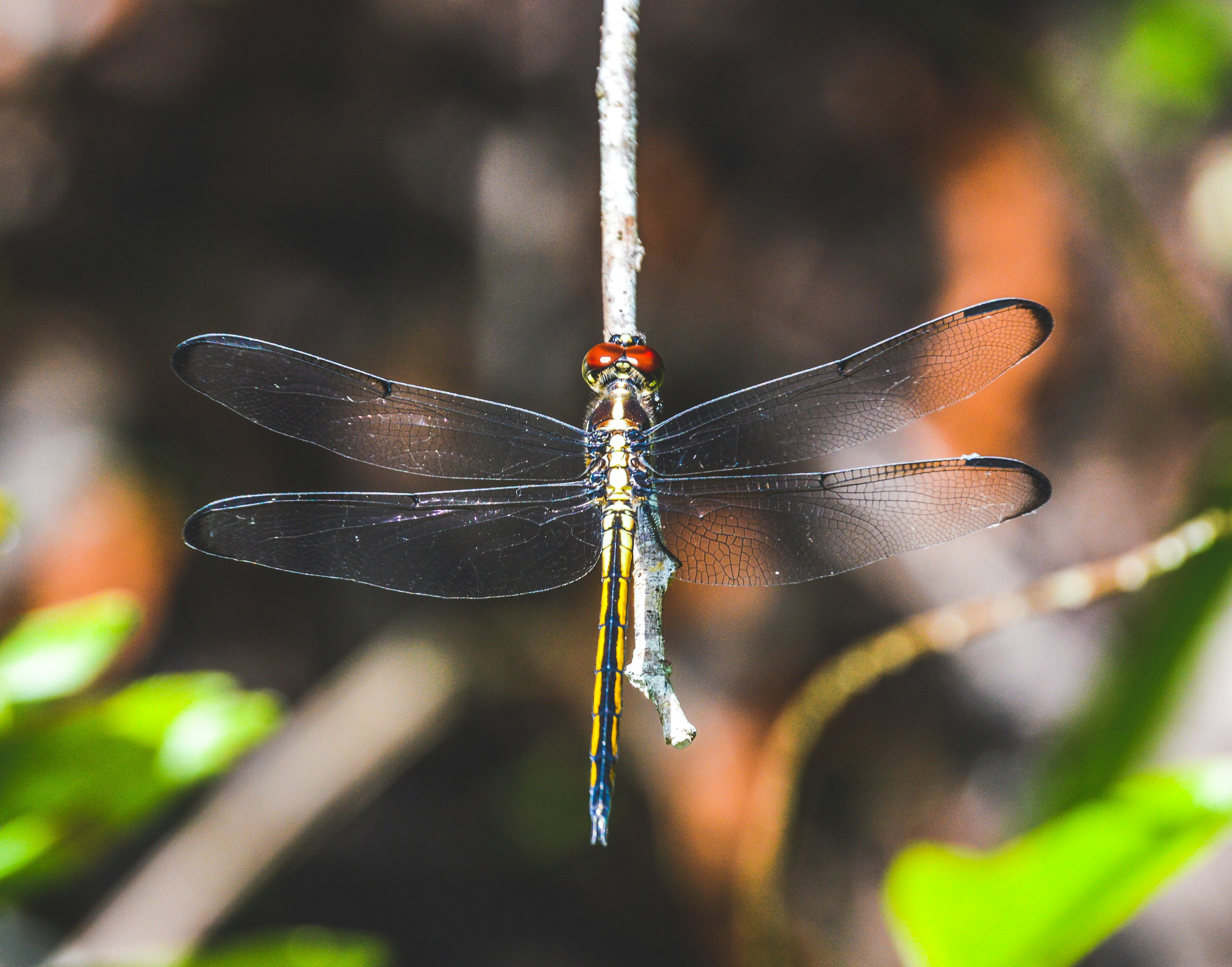 Photo by courtneyjean