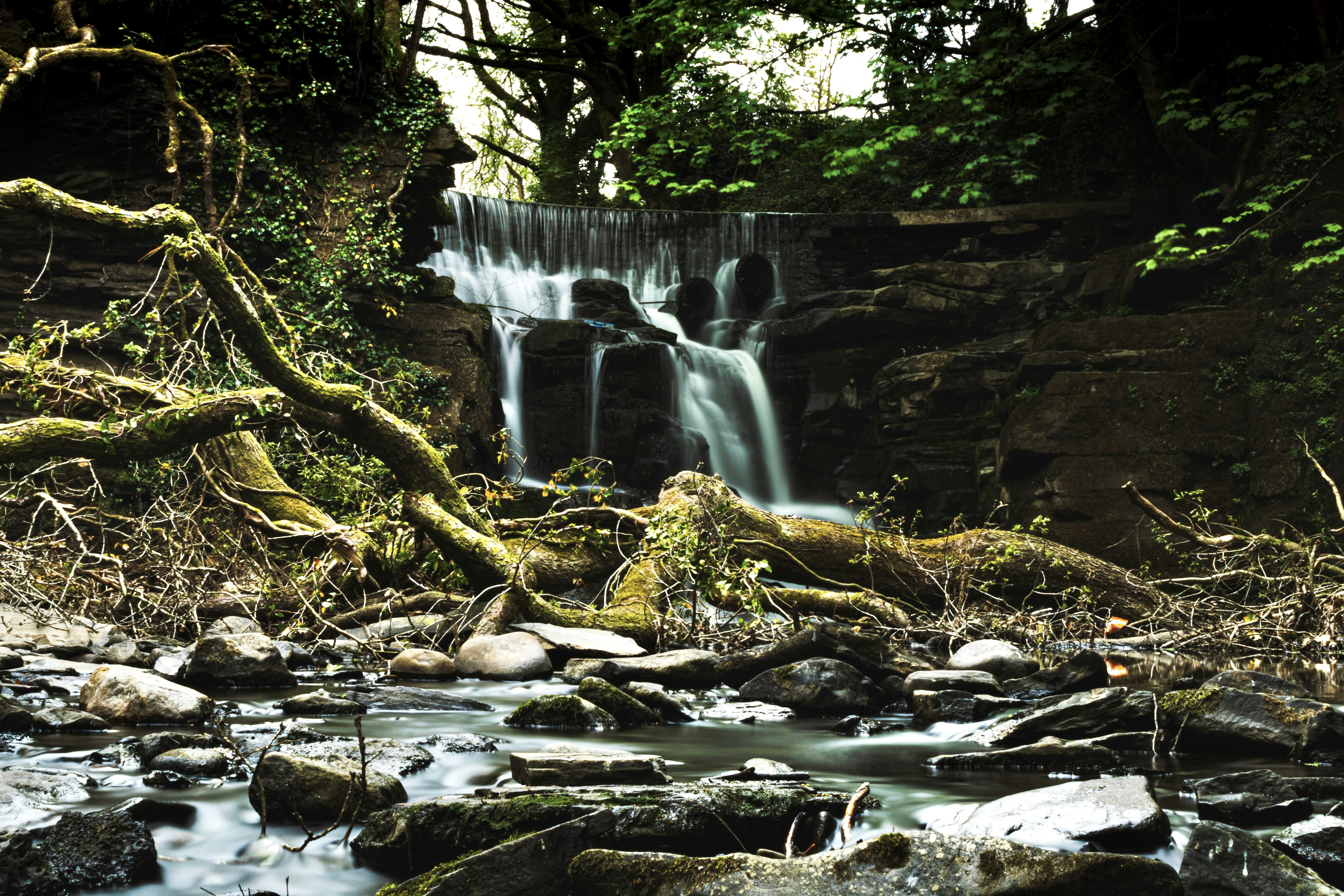 Photo by bcm_photography