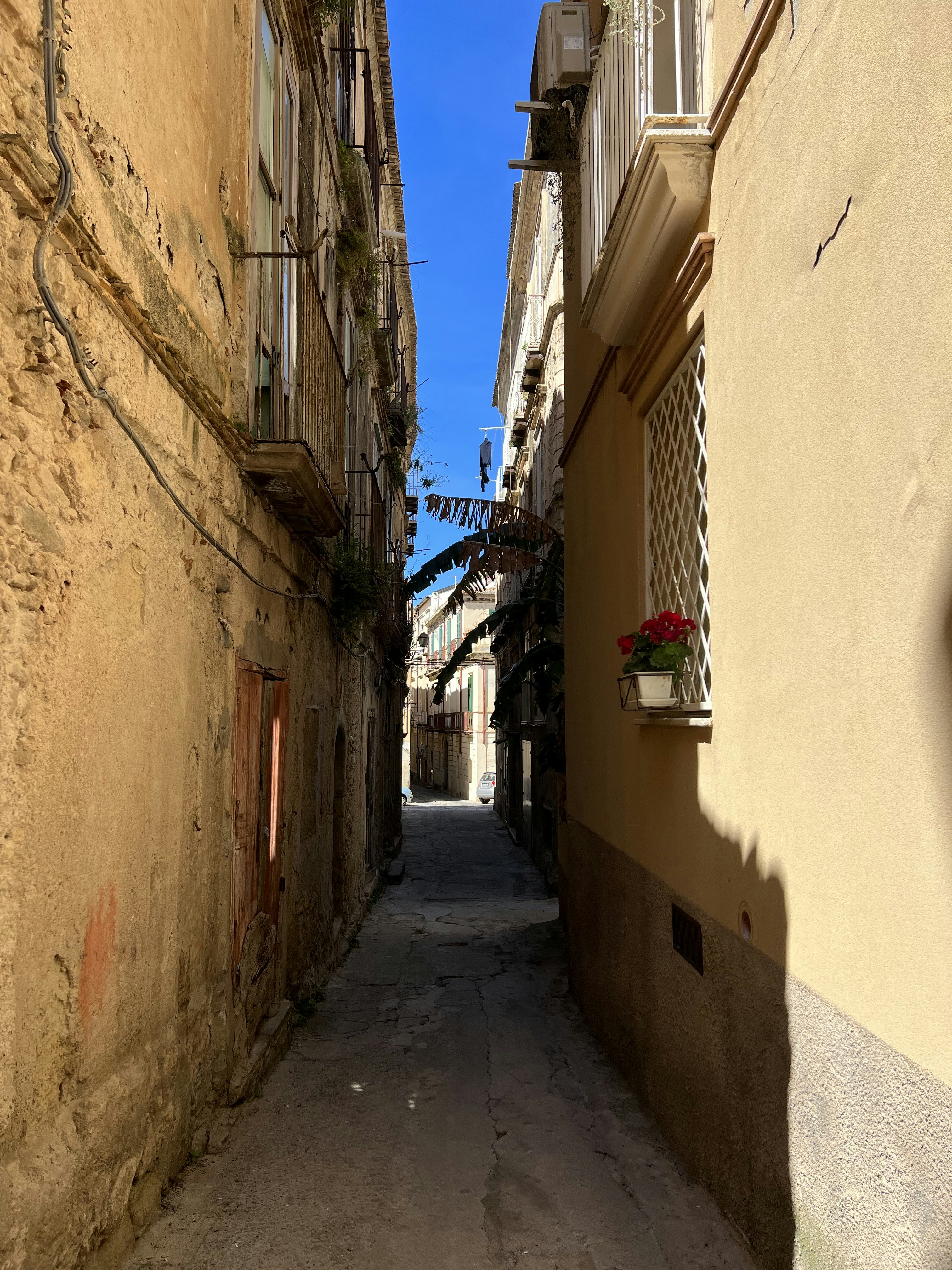 Photo by annamaria17