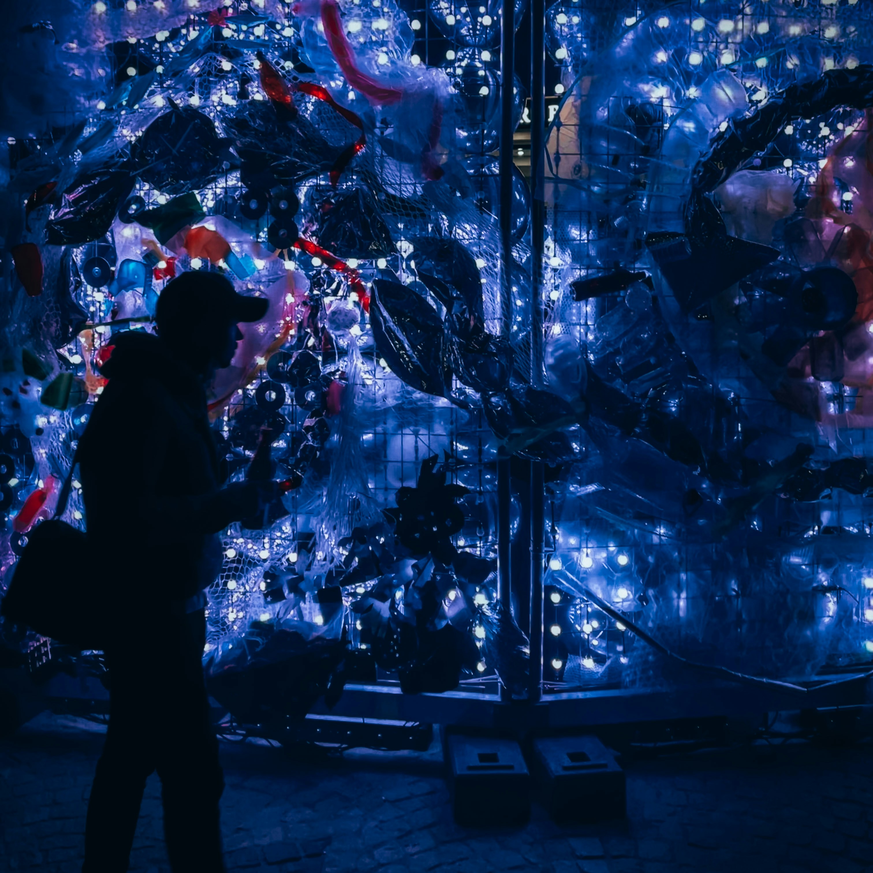 une personne regardant un mur de poissons