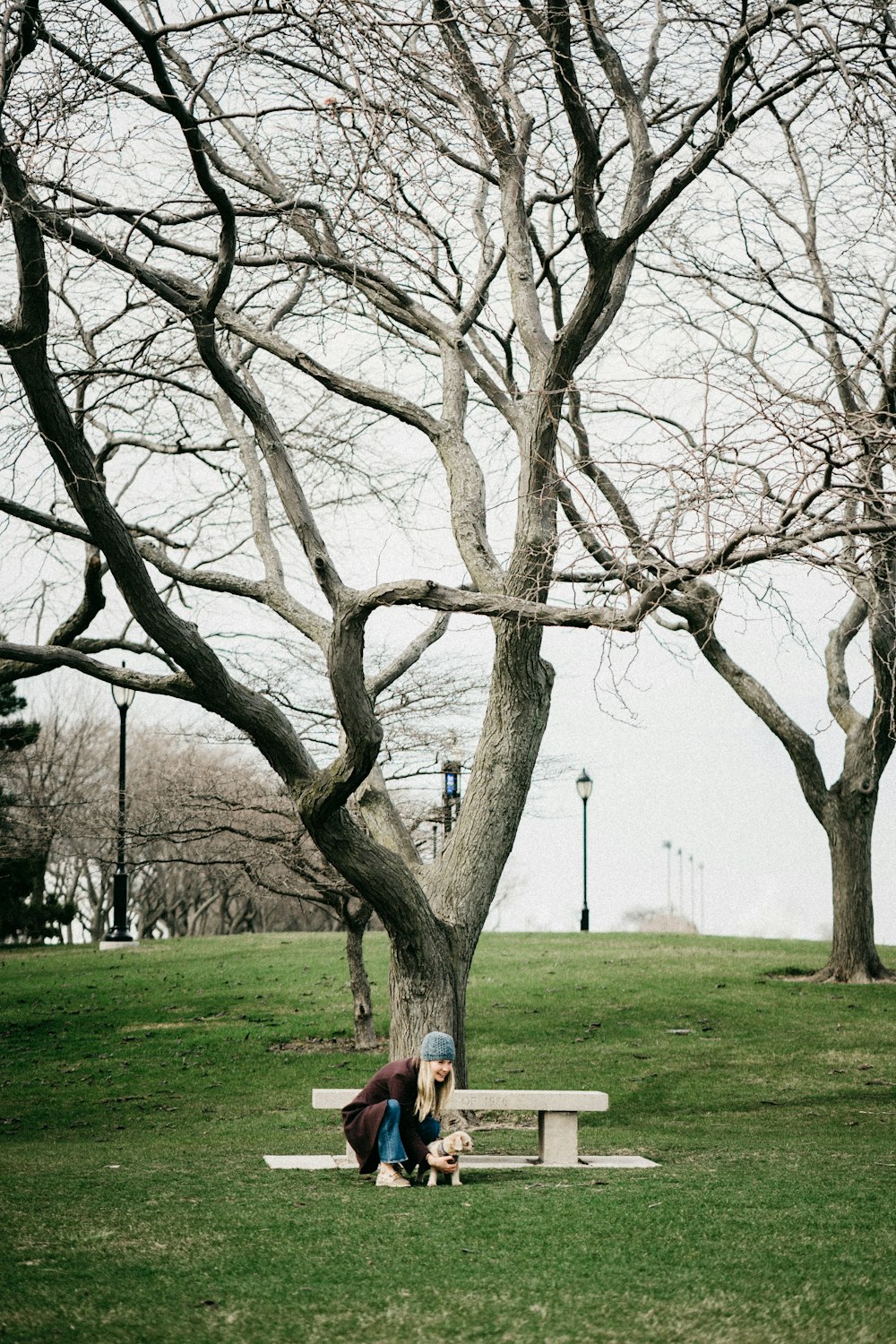 a couple sitting on a bench under a tree