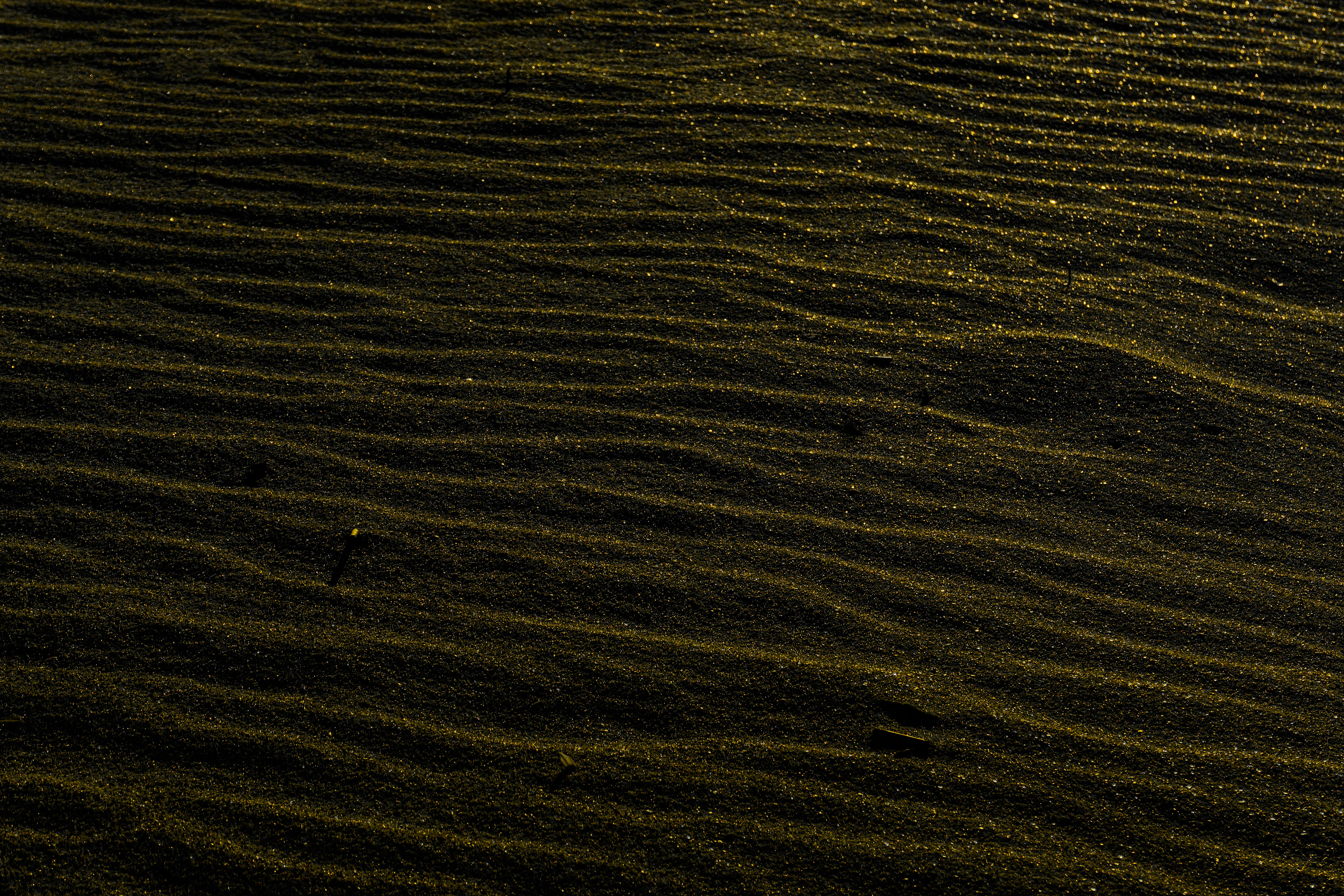 Photo by clayleconey