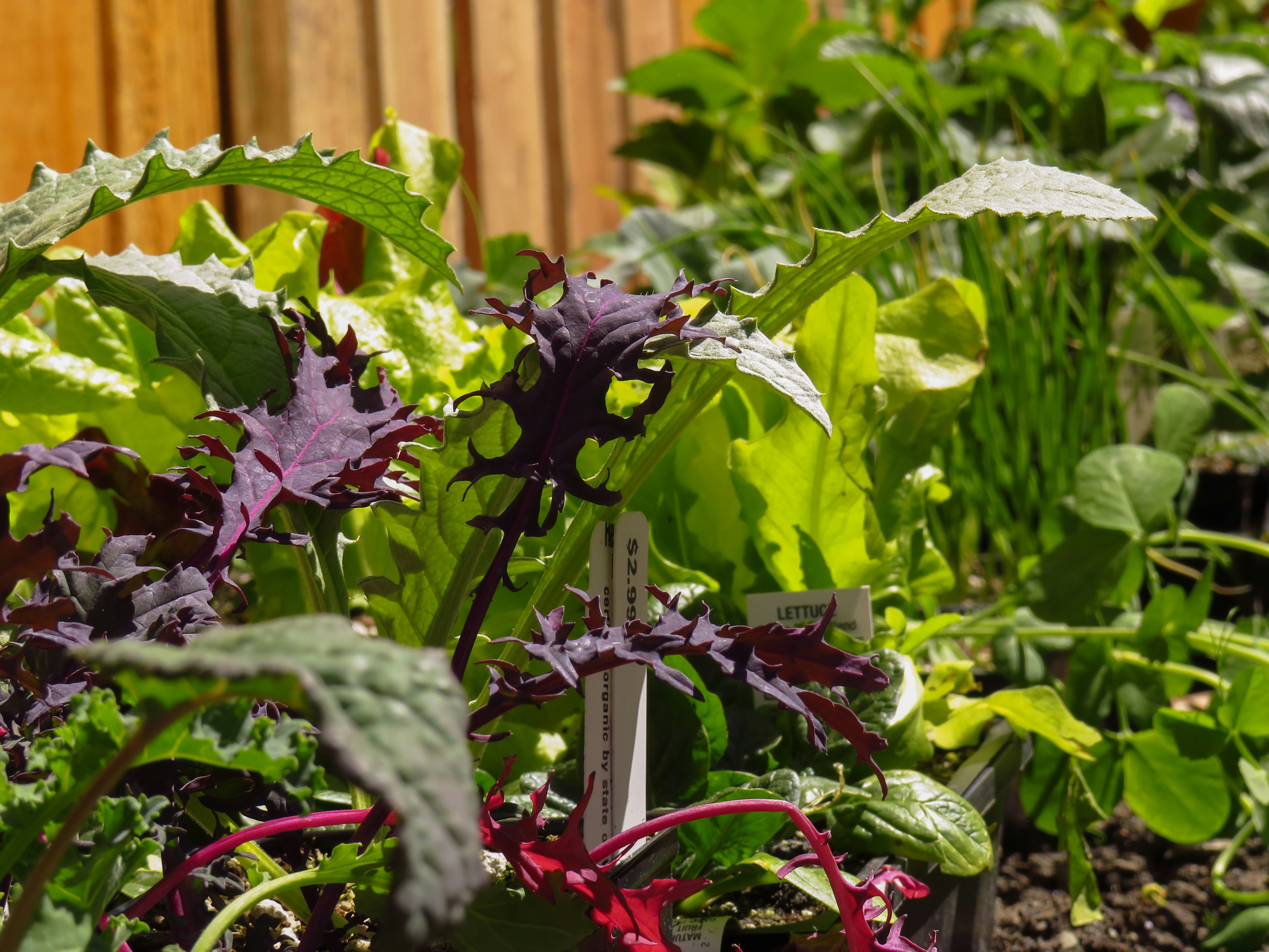 Photo by davidlangfyi