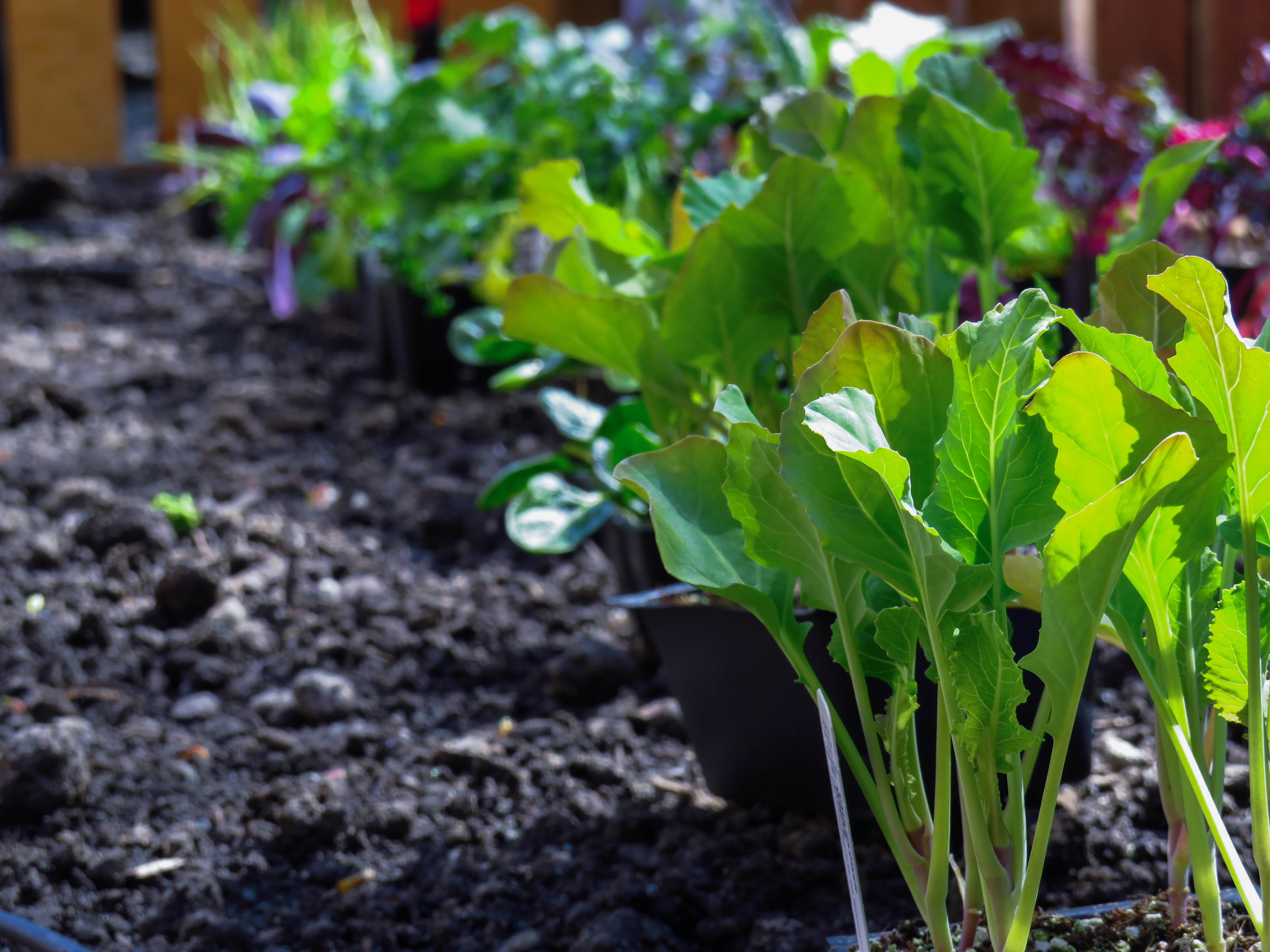 Photo by davidlangfyi