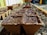 Small biodegradable seed trays filled with soil are placed in rows on the ground, ready for planting. The trays are surrounded by gravel or dirt, with some wooden or metal dividers visible, suggesting a gardening or agricultural setting.