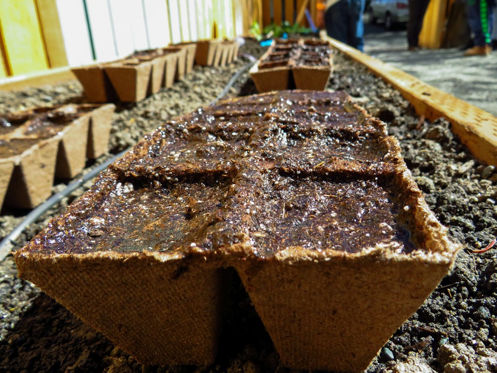 Farmhouse Garden Seeds