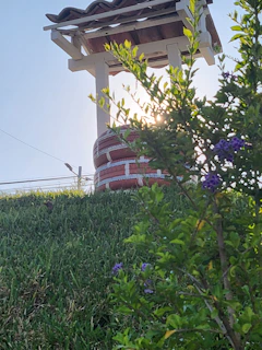 A technician drilling a deep well on a sunny day in a lush green garden near Plovdiv.