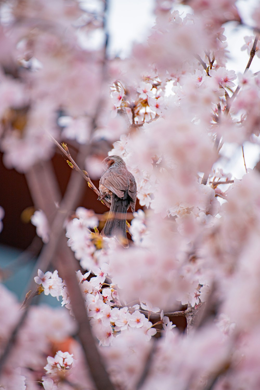 Una abeja en una flor