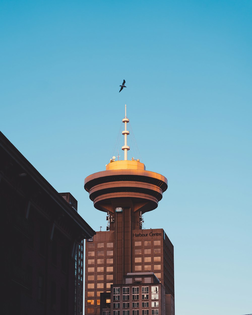 a bird flying over a tall building