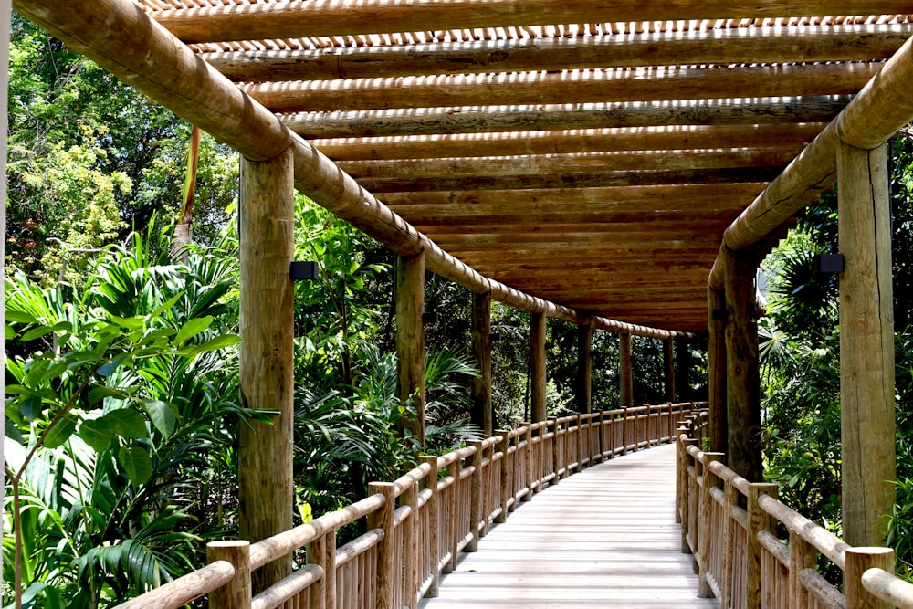 a wooden bridge with a wooden walkway