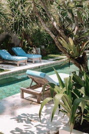 a pool with chairs and a tree